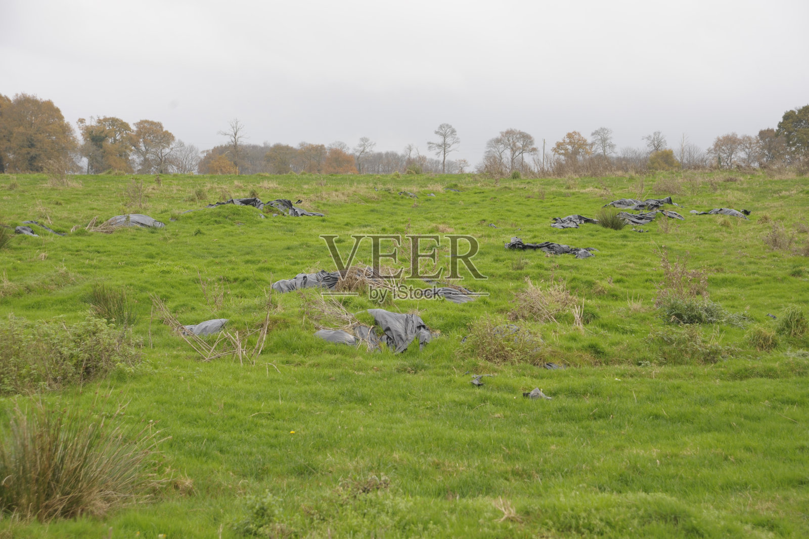 黑色塑料油布留在野外。照片摄影图片