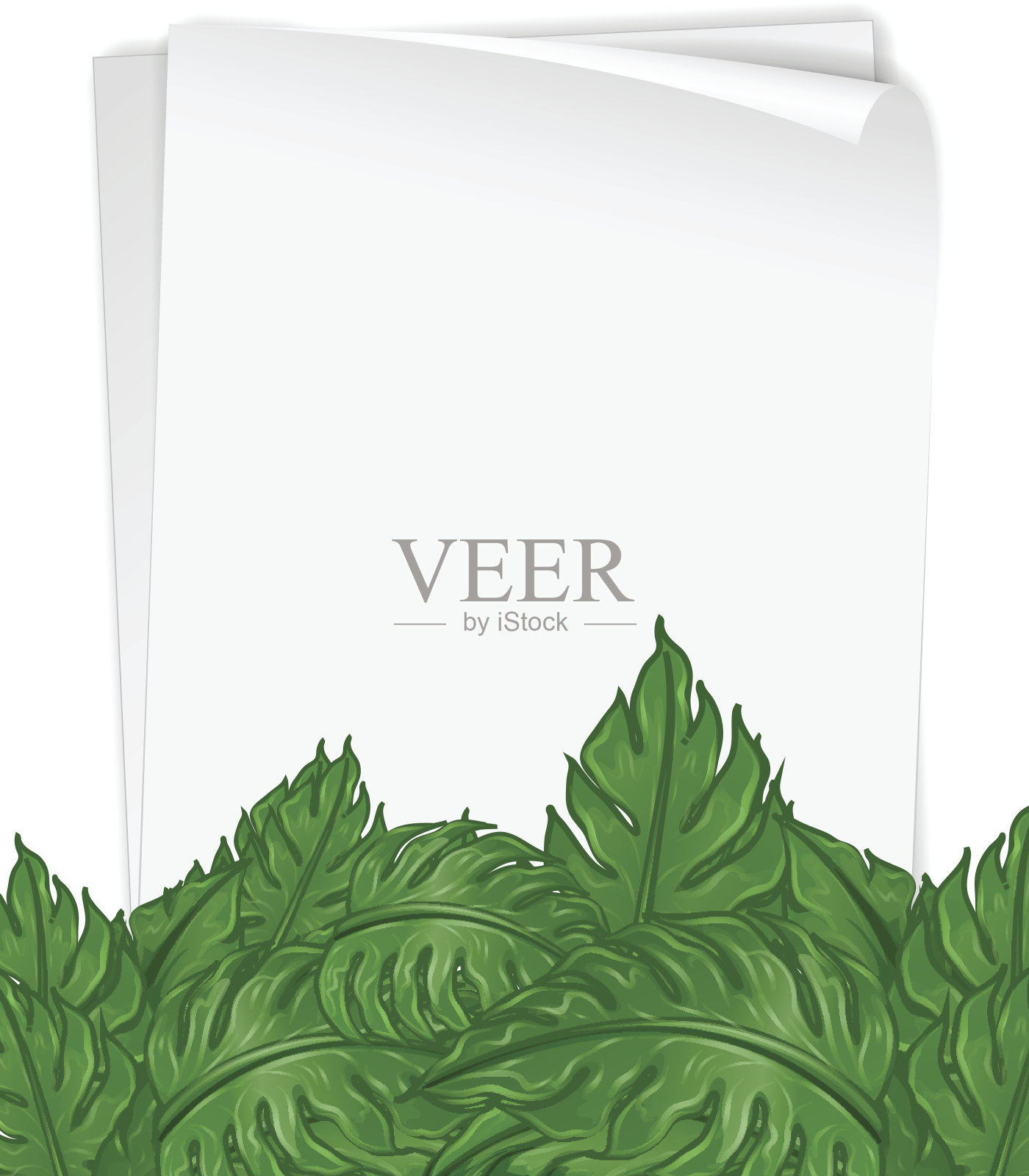 绿色叶子的纸模板插画图片素材