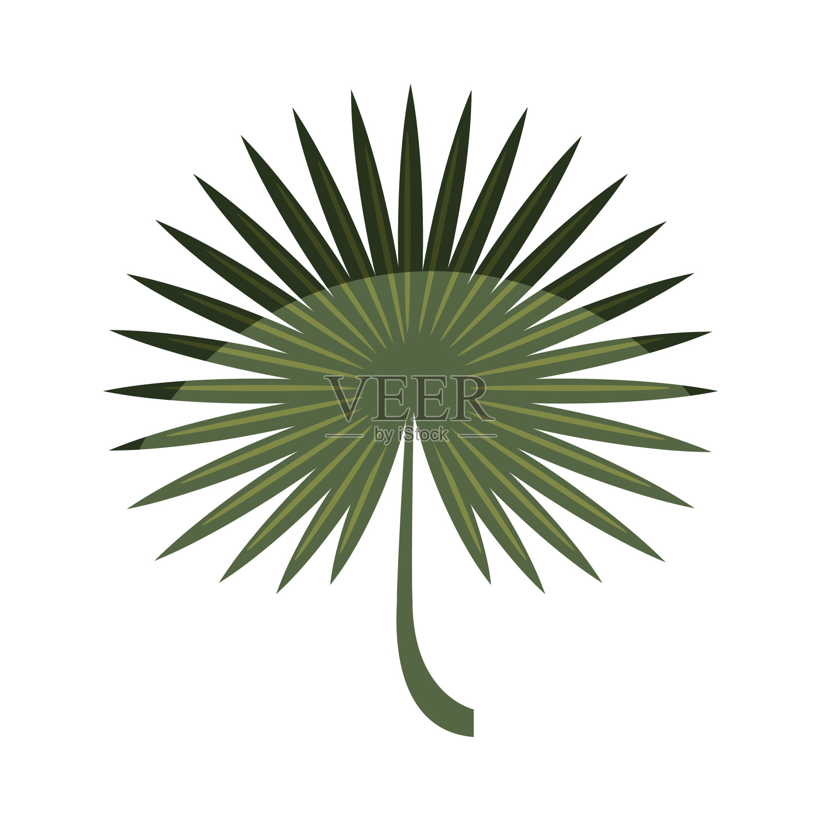 热带叶子装饰图标设计元素图片