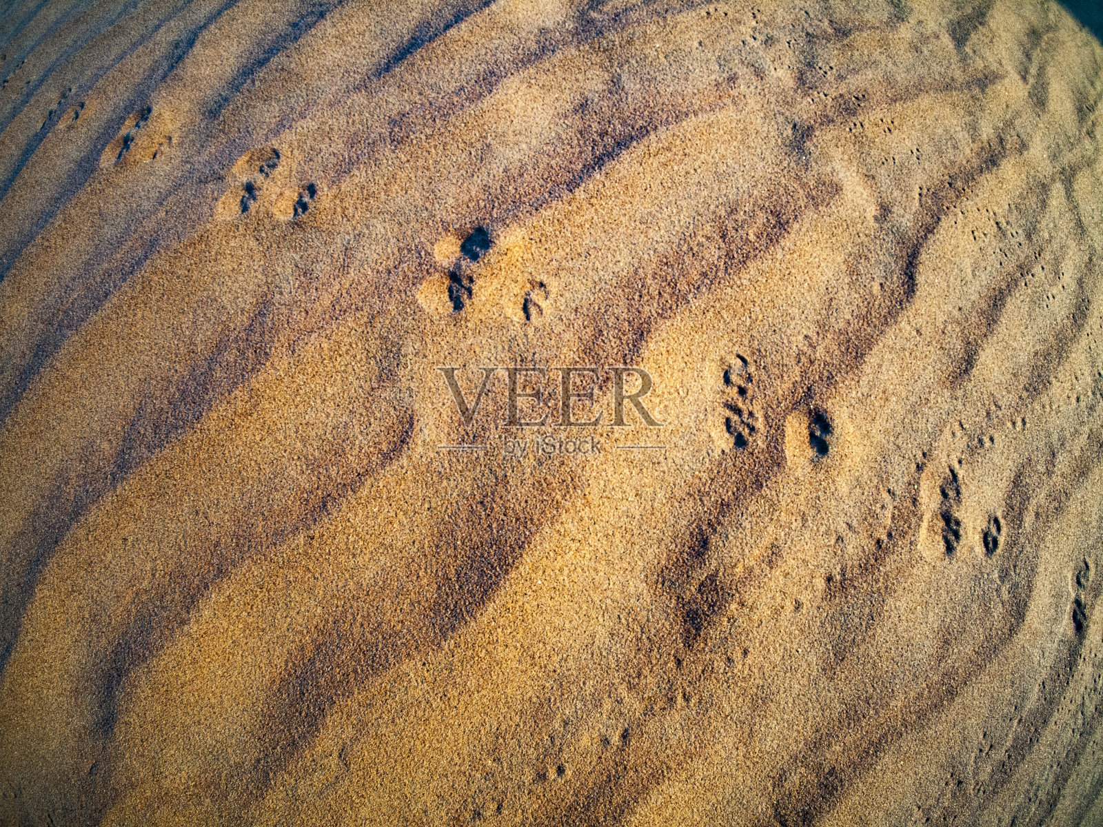 沙丘的俯视角度照片摄影图片
