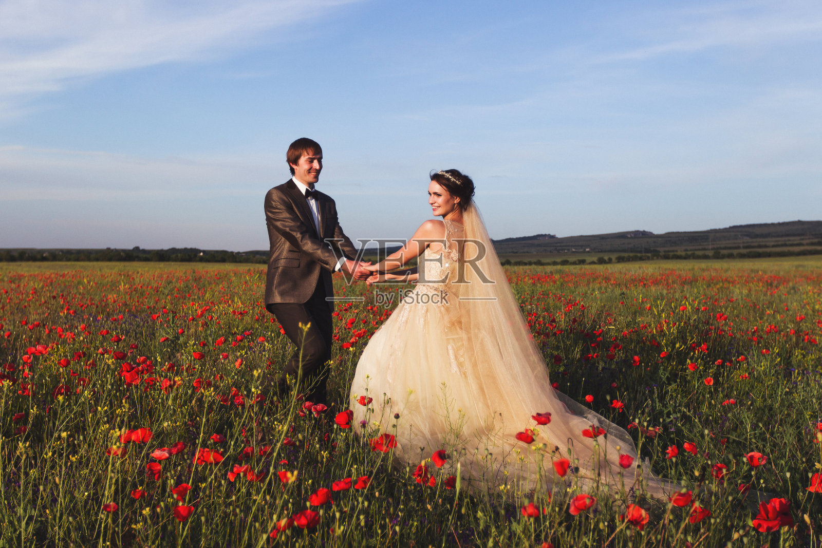 新婚夫妇漫步在令人惊叹的鲜花盛开的田野里。范围和全景周围照片摄影图片