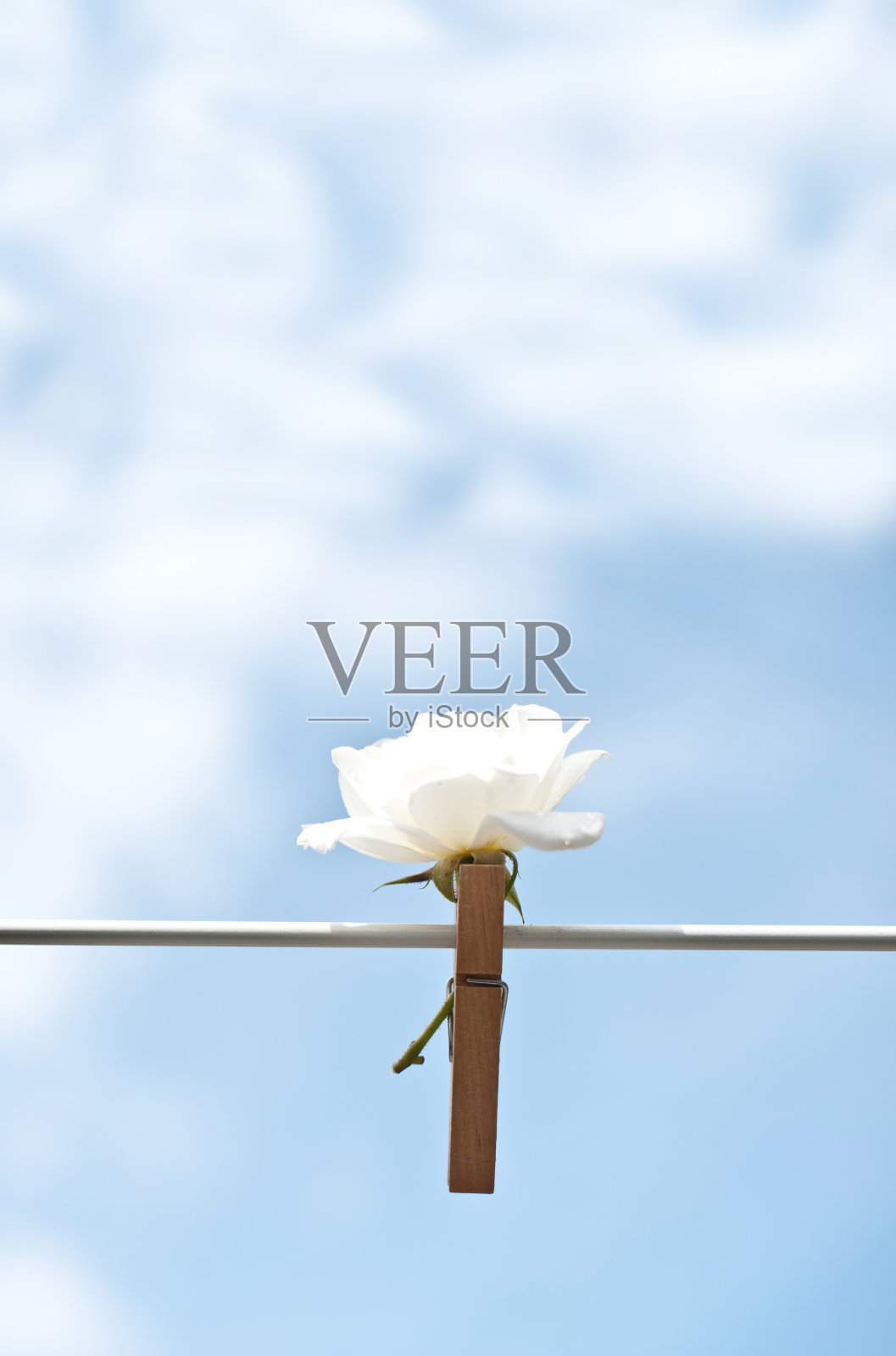 在线上的爱-被晾在一边照片摄影图片