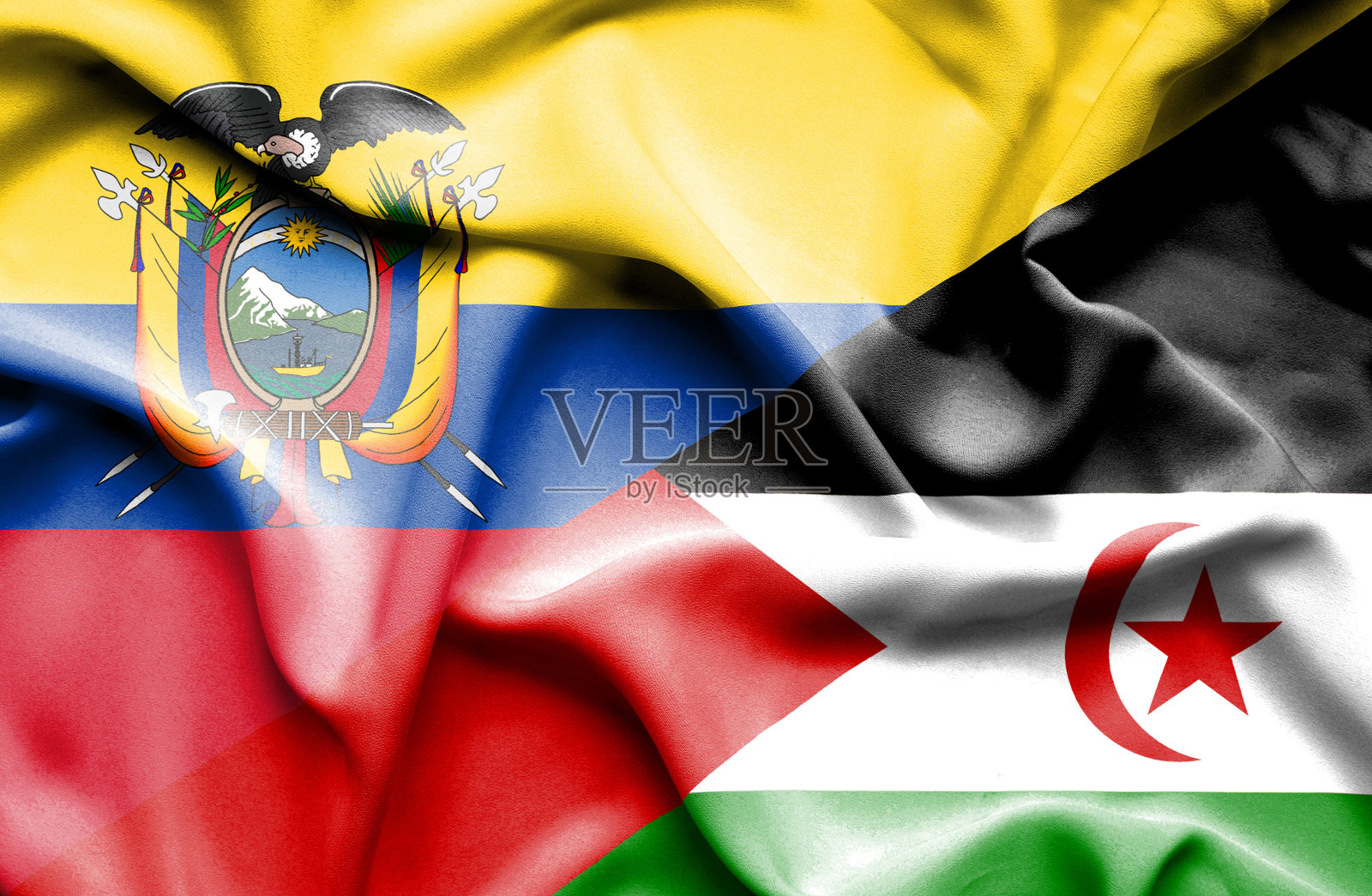 挥舞着西撒哈拉和厄瓜多尔的旗帜照片摄影图片