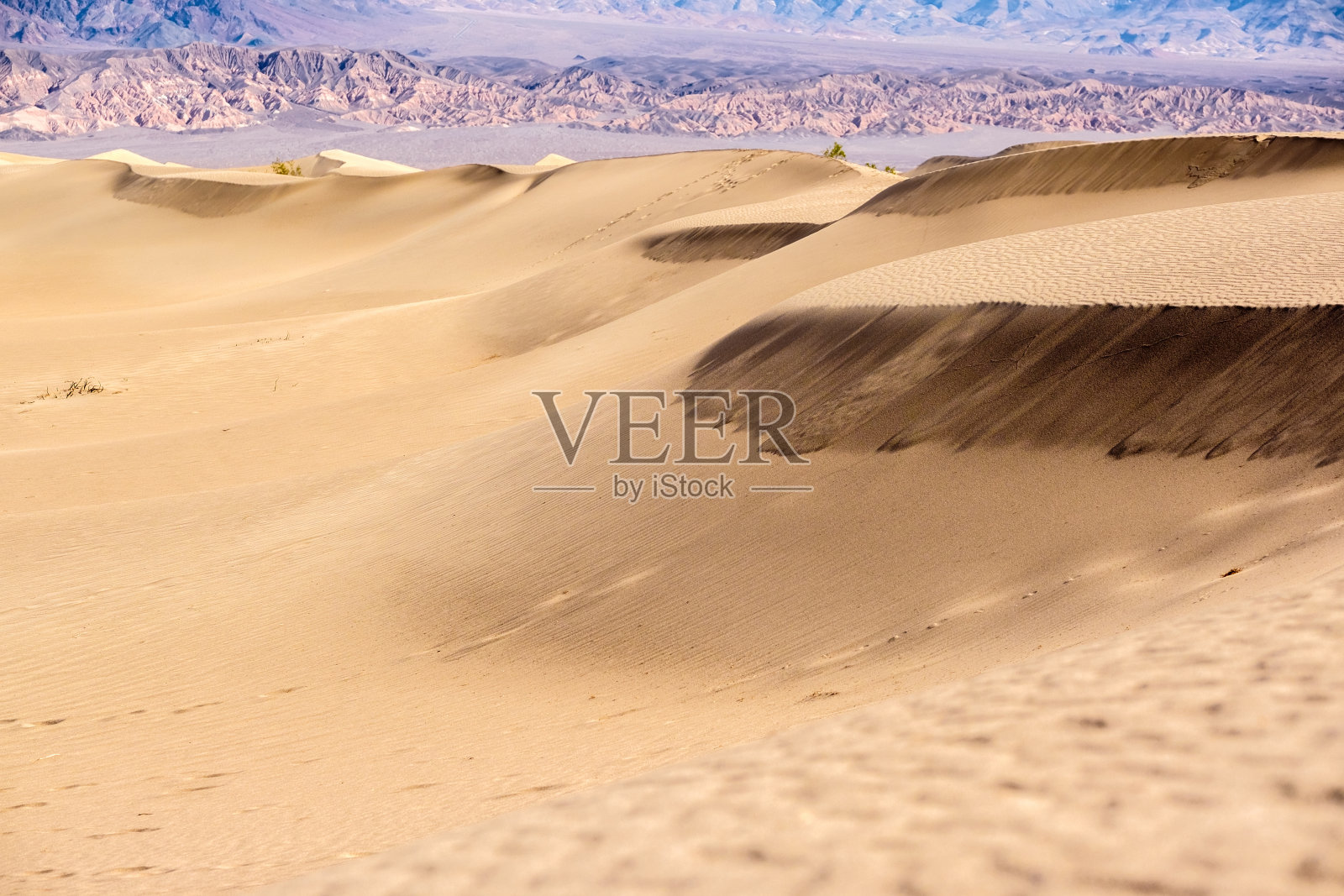 死亡谷国家公园牧豆树沙丘照片摄影图片