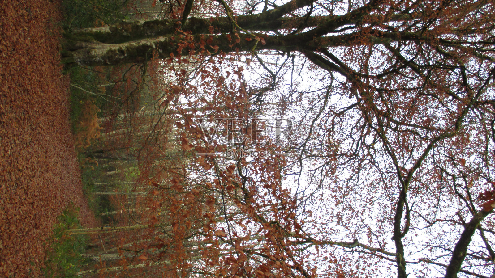 圣地亚哥大道的风景画。法国的方式。西班牙。圣地亚哥大道的风景画。法国的方式。西班牙。照片摄影图片