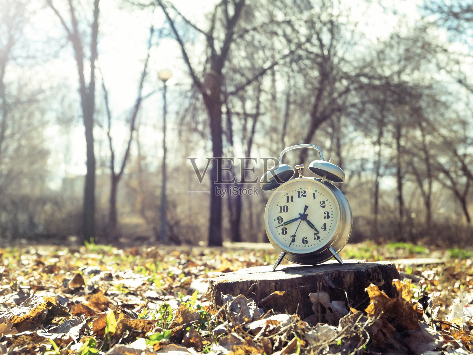 古董表时钟。形象是由自然和时间创造的。照片摄影图片