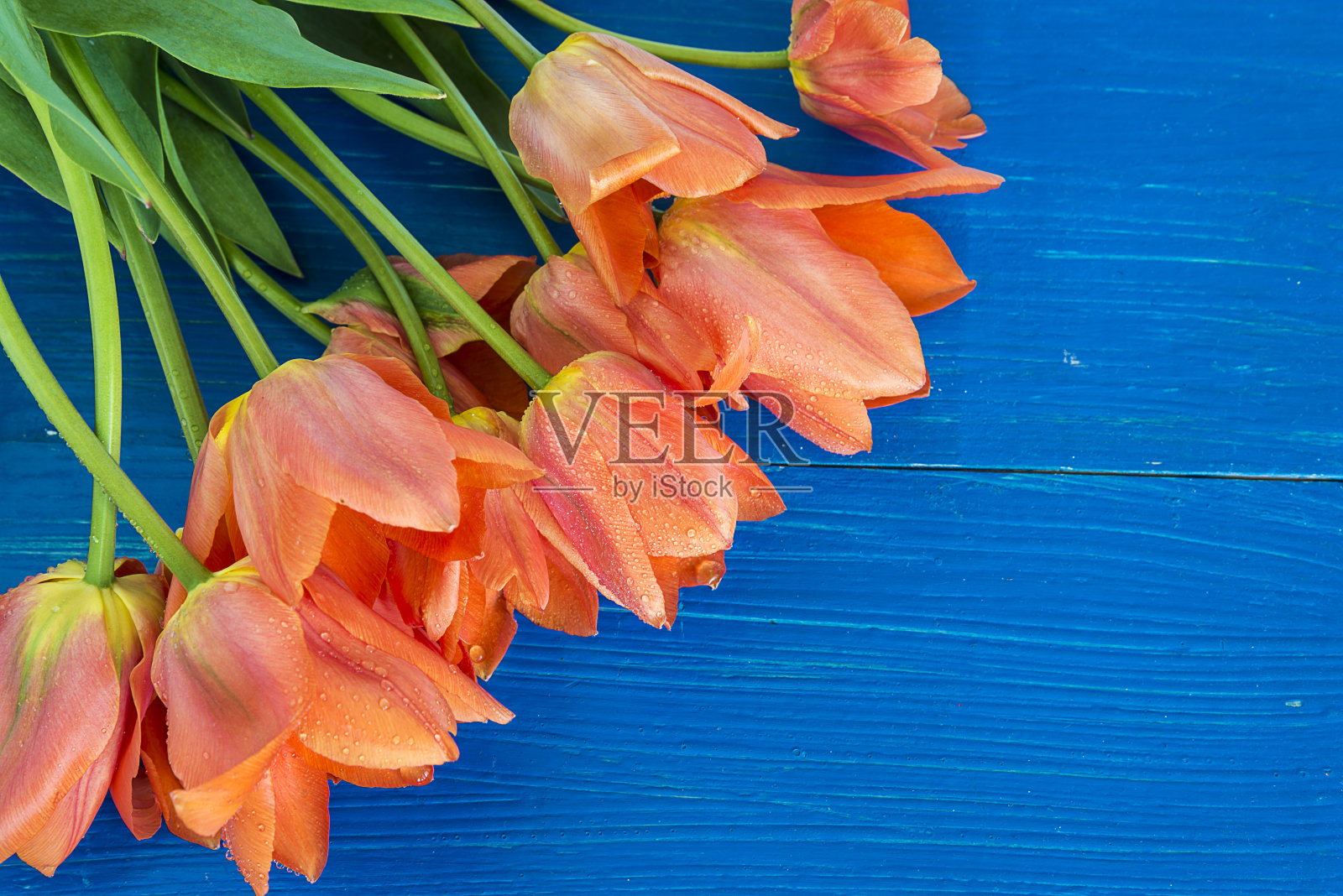 贺卡插画图片素材