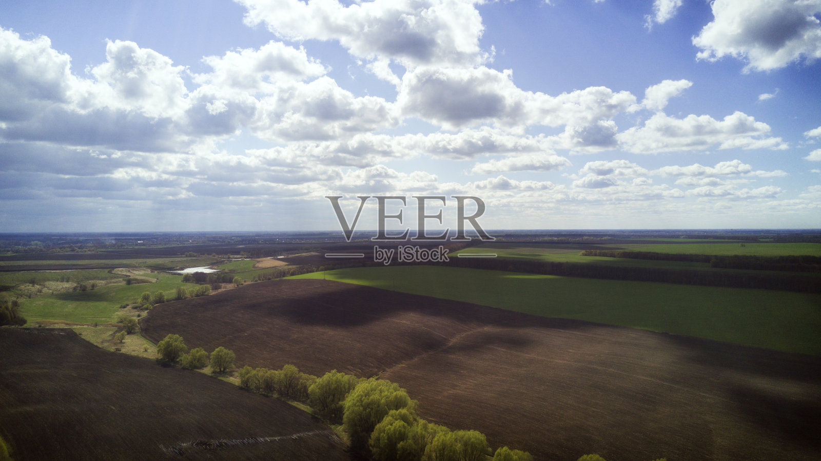 森林田野景观，乌克兰的春天照片摄影图片