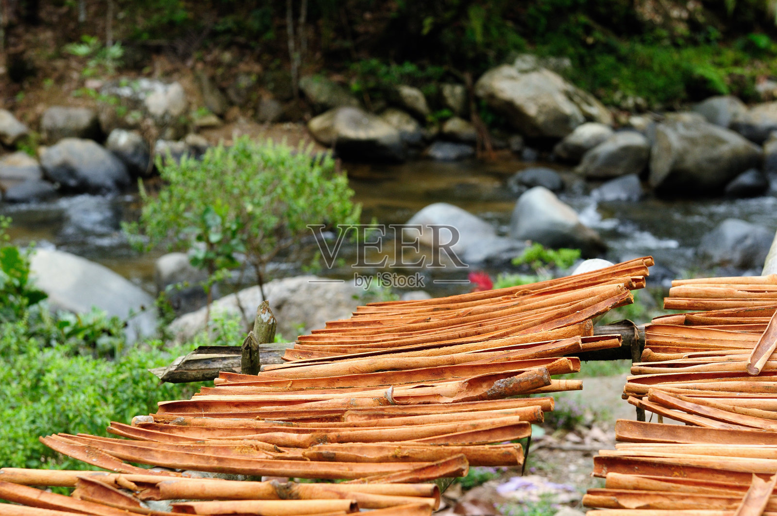 肉桂在亚洲照片摄影图片