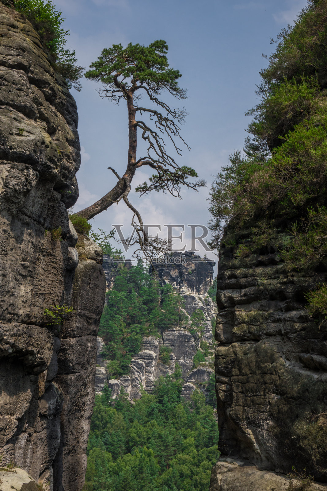德国易北砂岩山的风景照片摄影图片