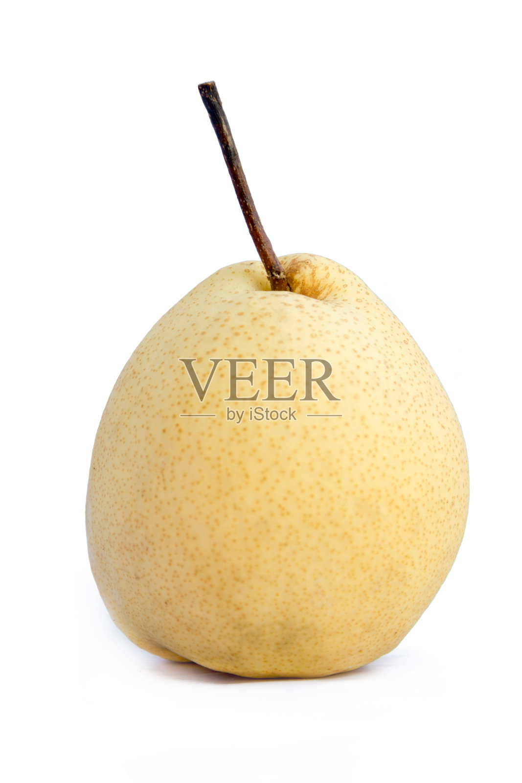 中国梨照片摄影图片