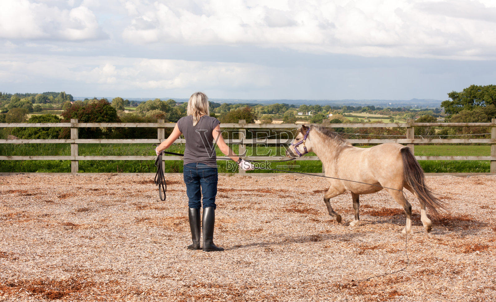 漂亮姑娘正在训练她的小马准备骑马。照片摄影图片