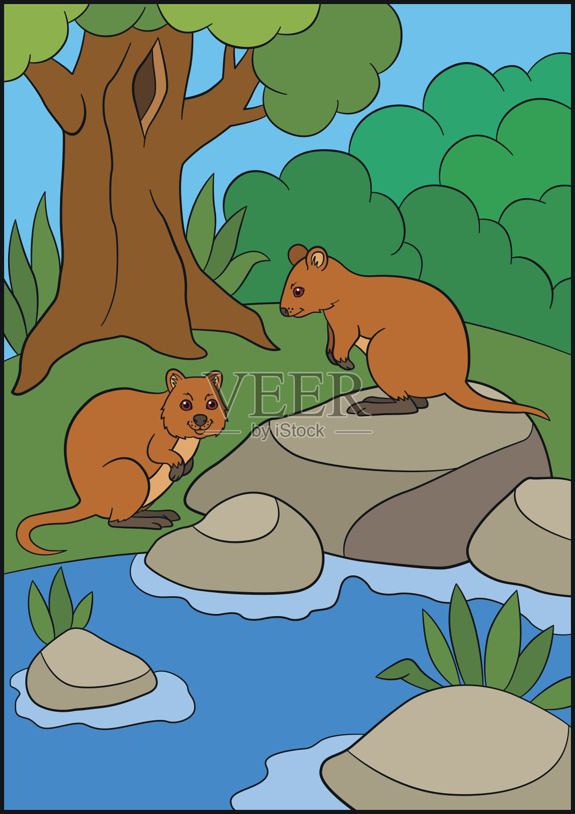 着色page_quokka01_插画图片素材