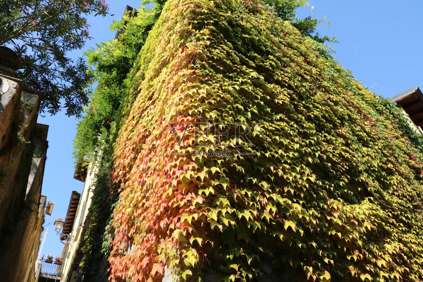 夏天在意大利伦巴第的科莫湖的贝拉吉奥度假照片摄影图片