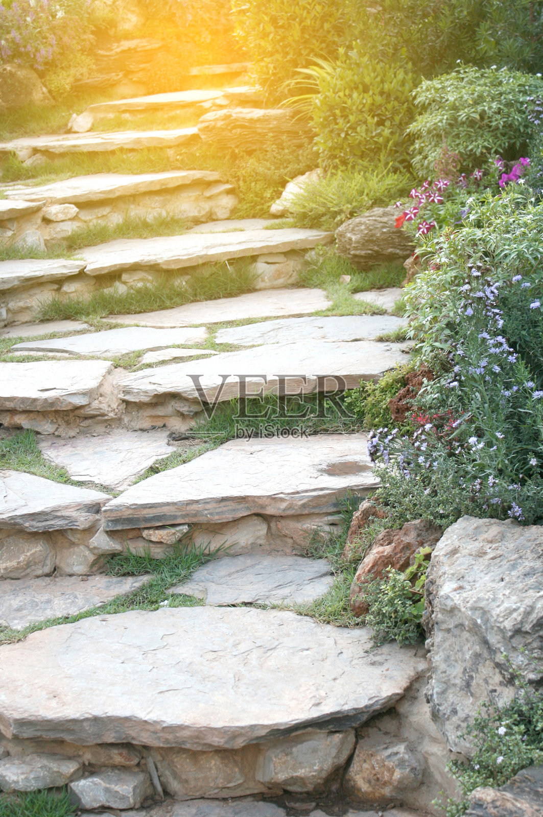 漫步在美丽的花园中，有小瀑布和爆裂的灯光照片摄影图片