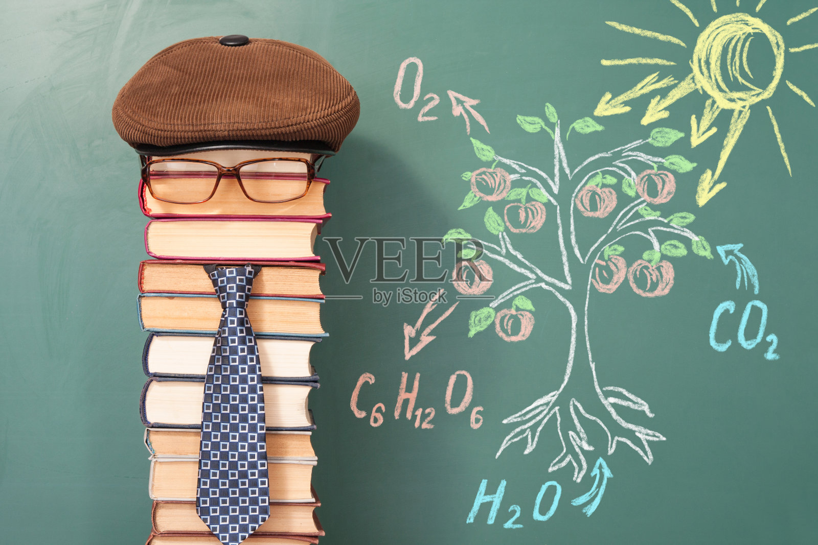 老师演示了光合作用的原理照片摄影图片