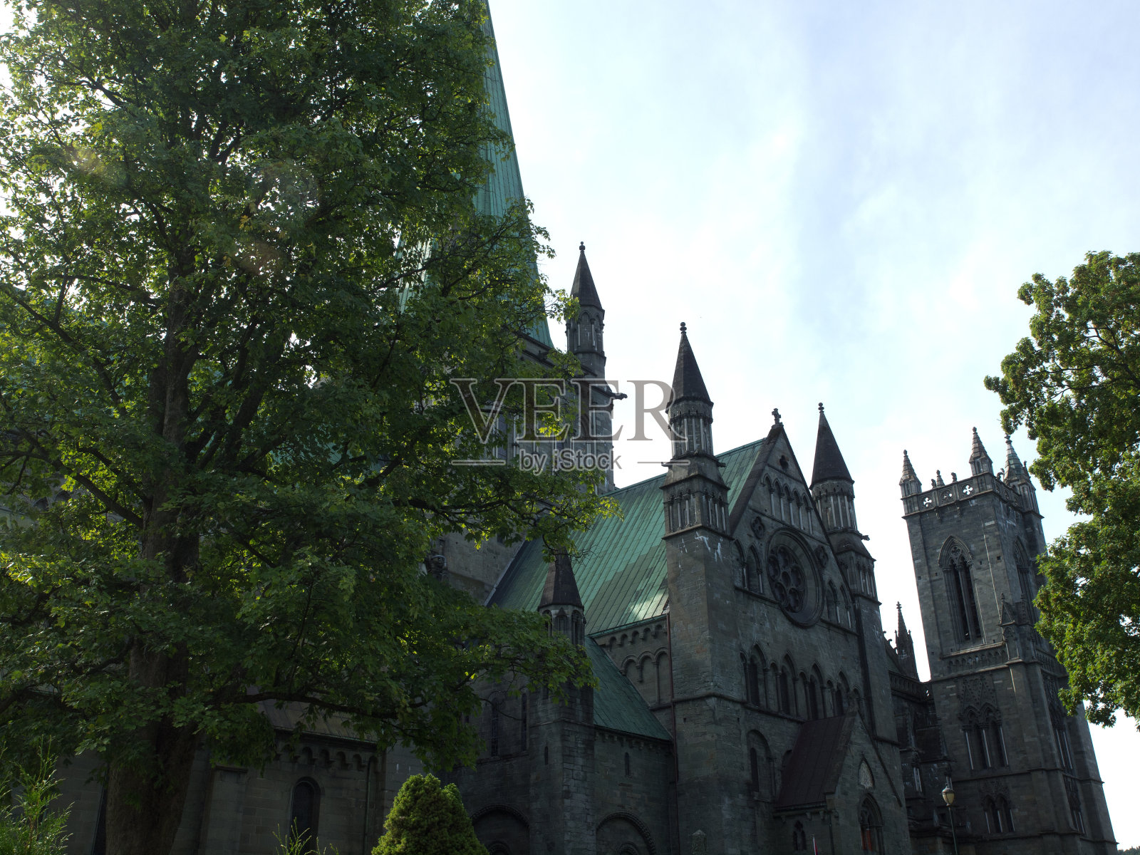 唐照片摄影图片