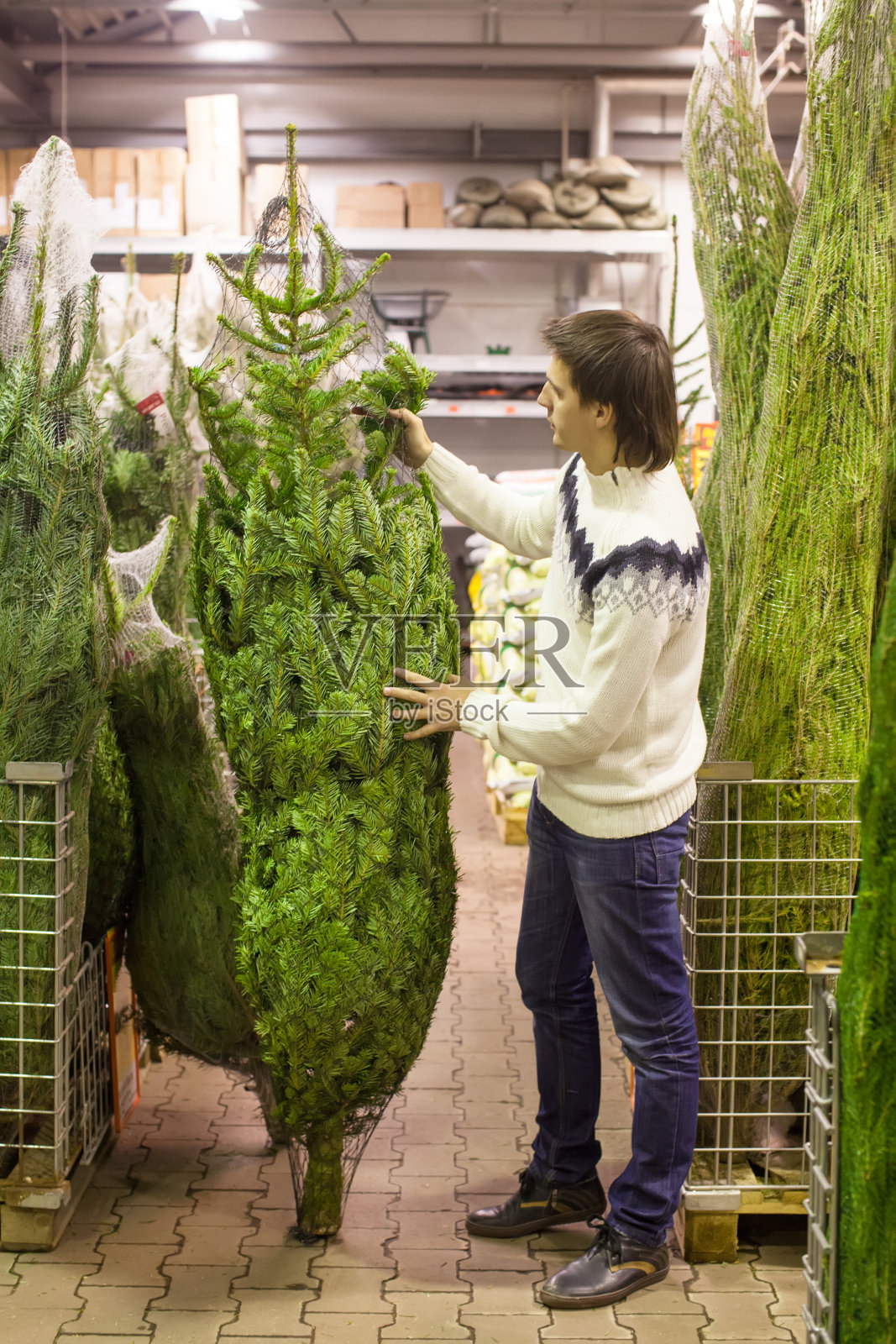 年轻人在商店里挑选一棵圣诞树照片摄影图片