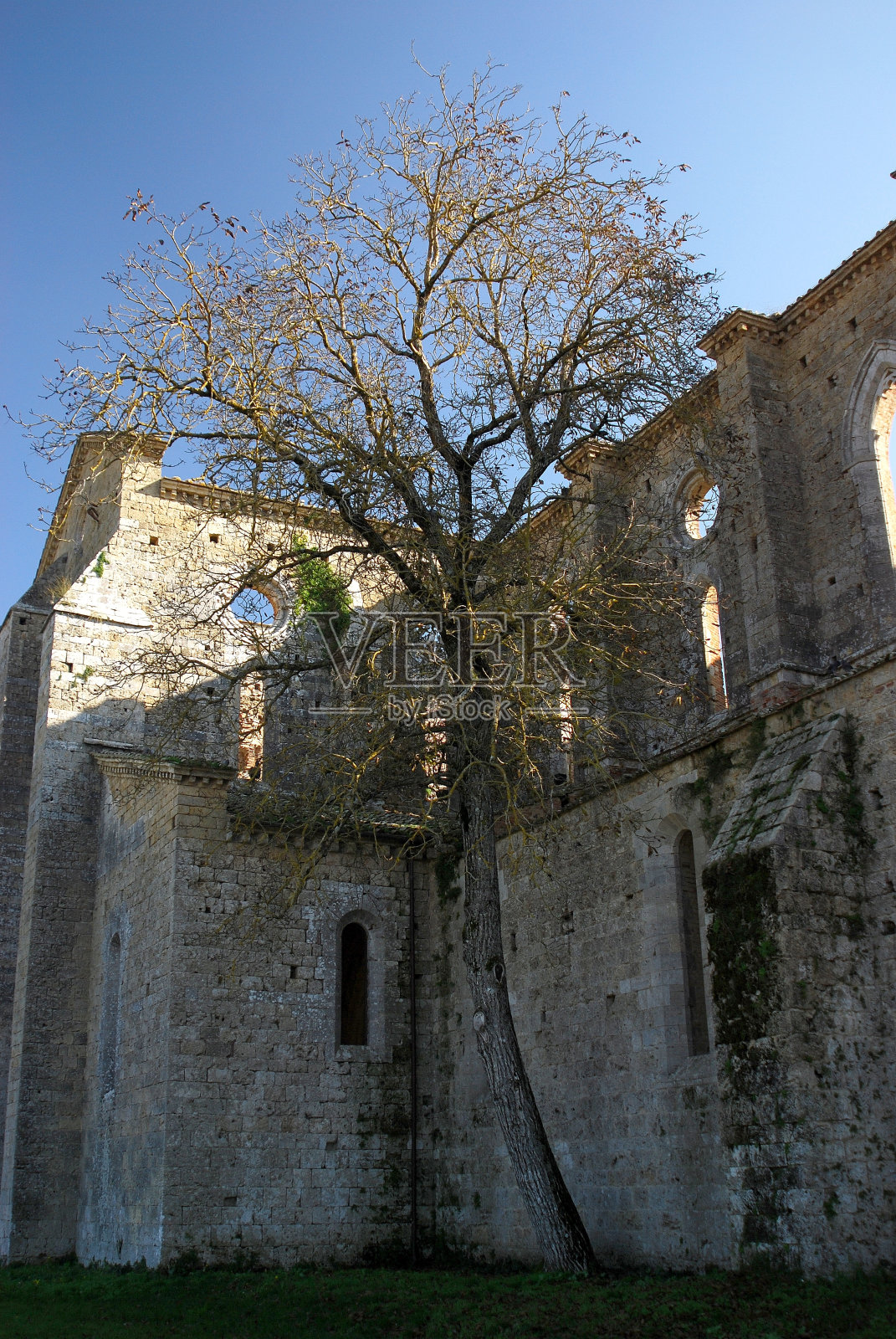 意大利托斯卡纳Chiusdino附近的古老的圣加尔加诺修道院，托斯卡纳罗马式建筑的典范照片摄影图片