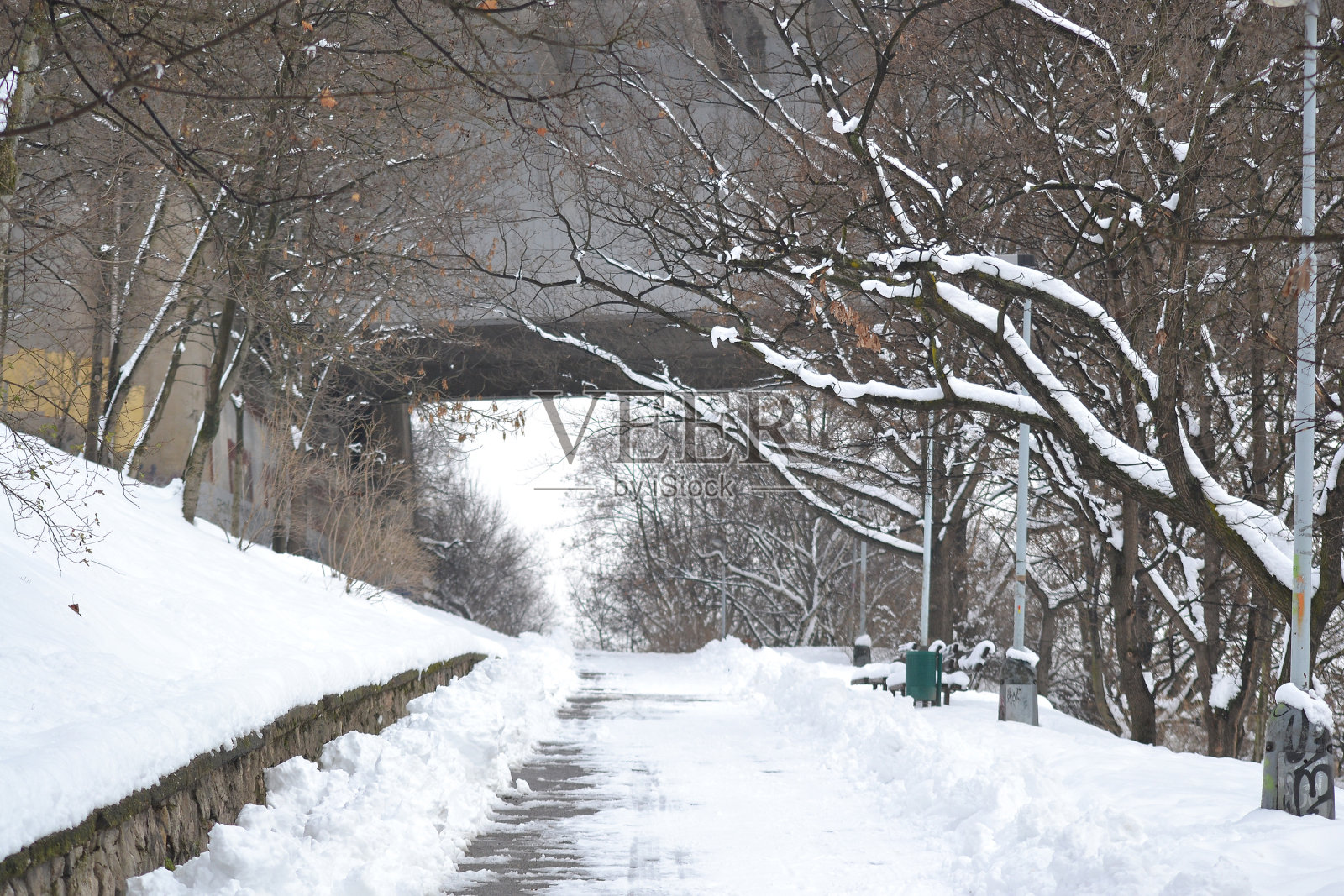 冬天公园里的小巷照片摄影图片