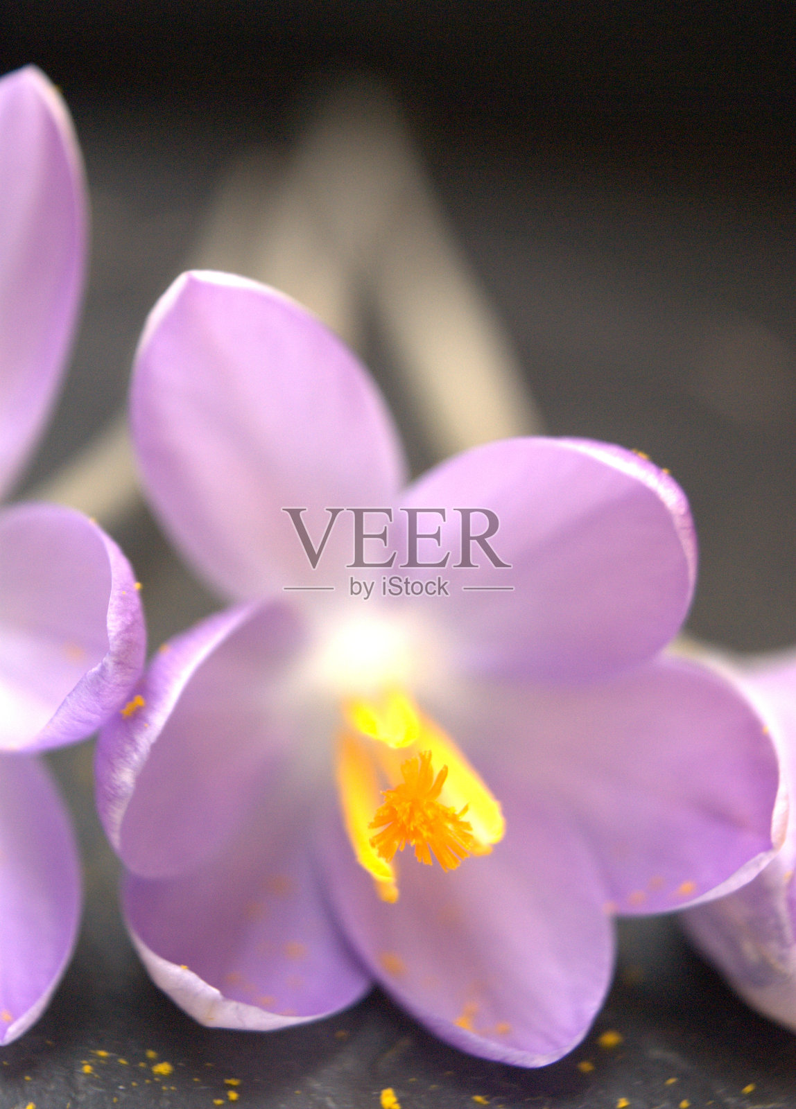 单磨粉照片摄影图片