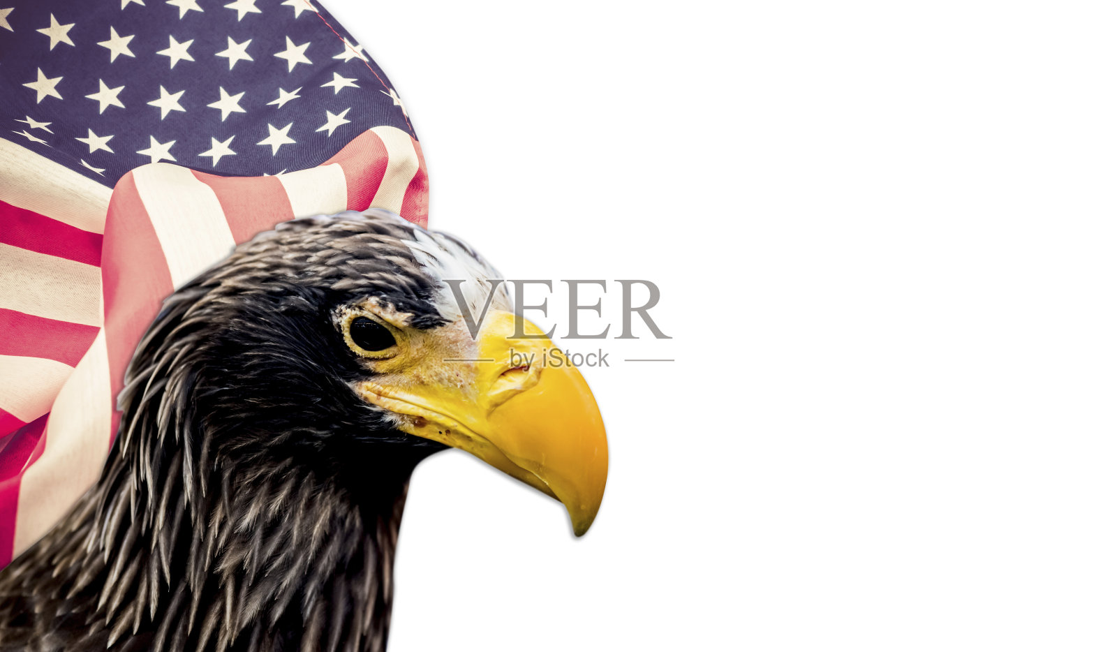 美国国旗，美国独立，联合背景照片摄影图片