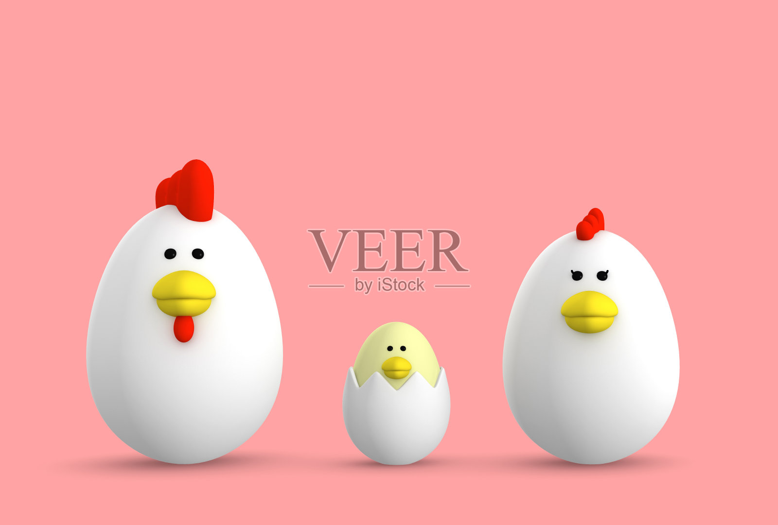 蛋型鸡照片摄影图片