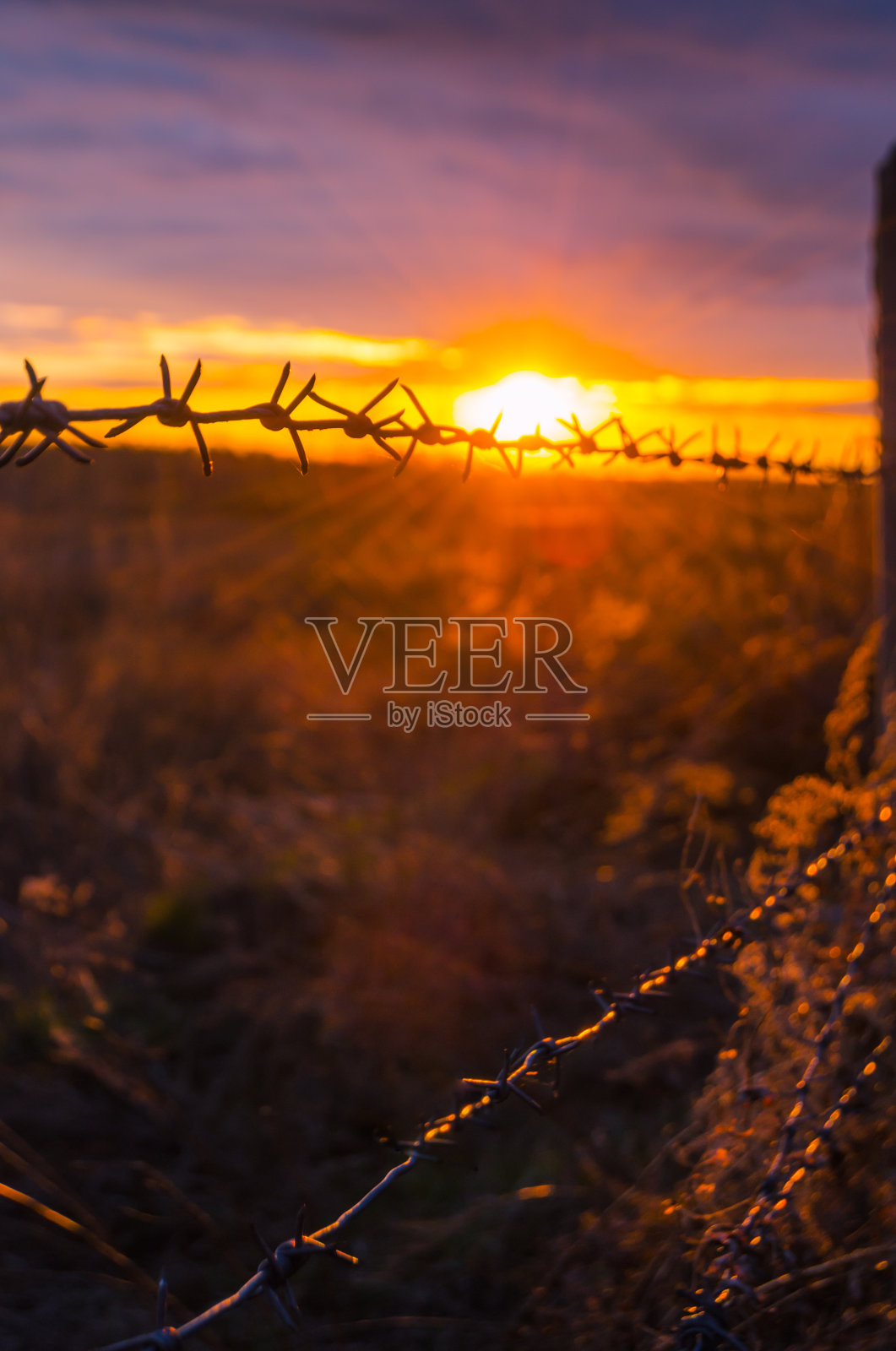 在明亮的落日背景上有带刺的铁丝网照片摄影图片