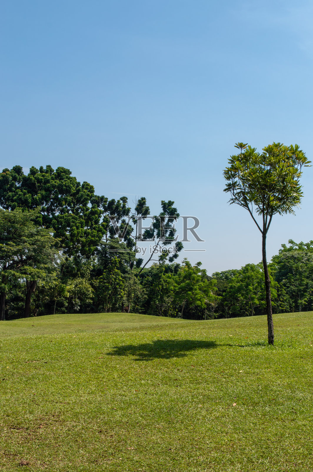 草地照片摄影图片