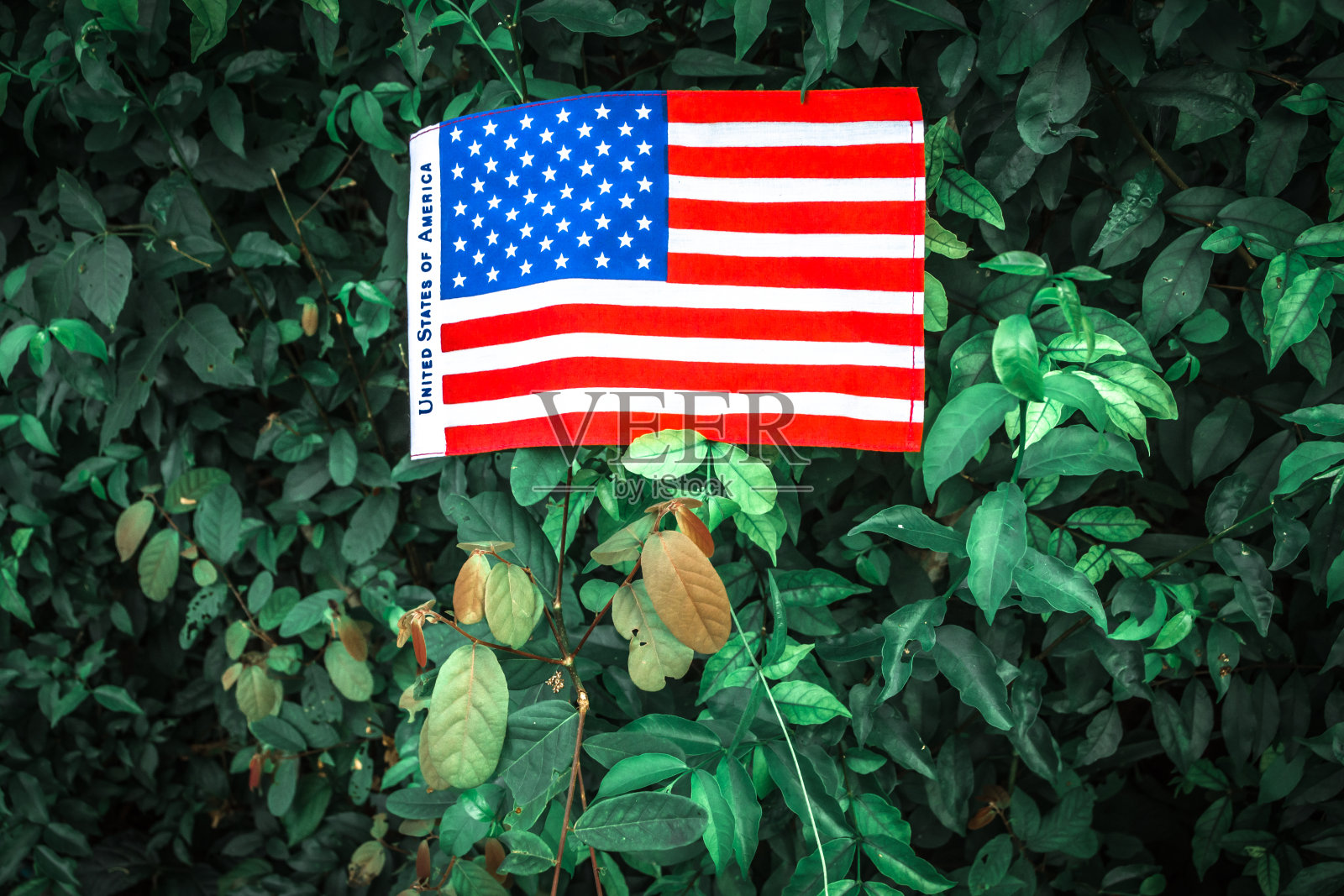 美丽的星星和条纹的美国国旗照片摄影图片