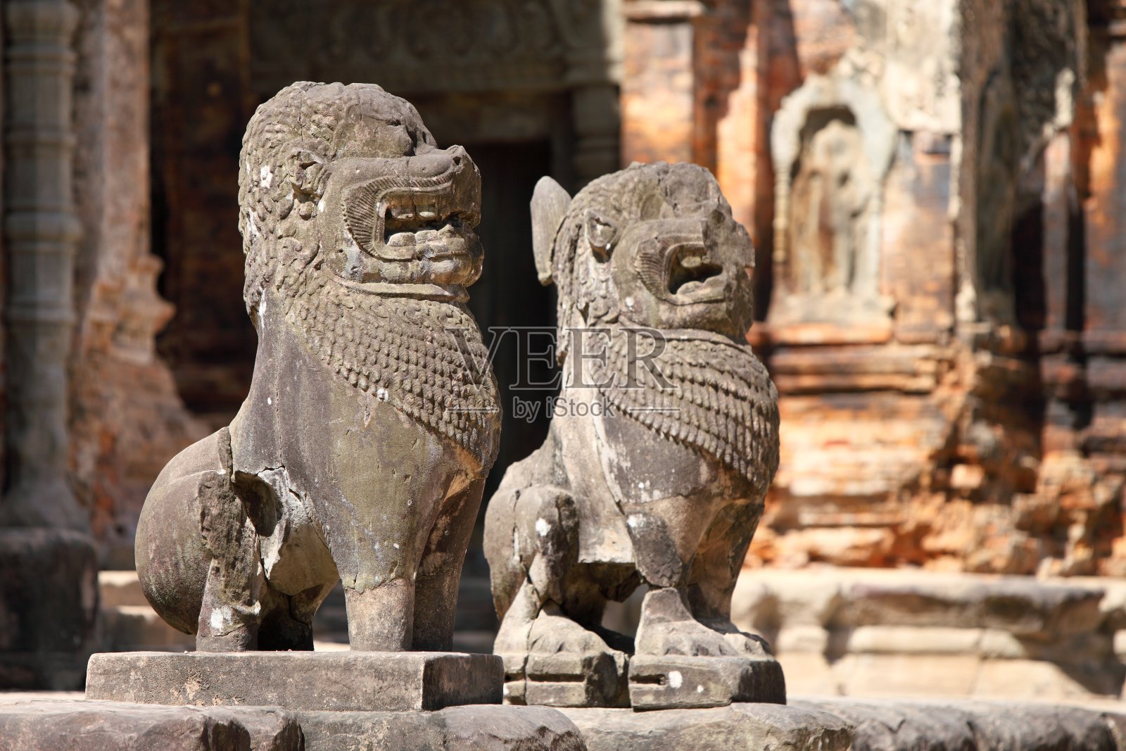 狮子在柬埔寨照片摄影图片