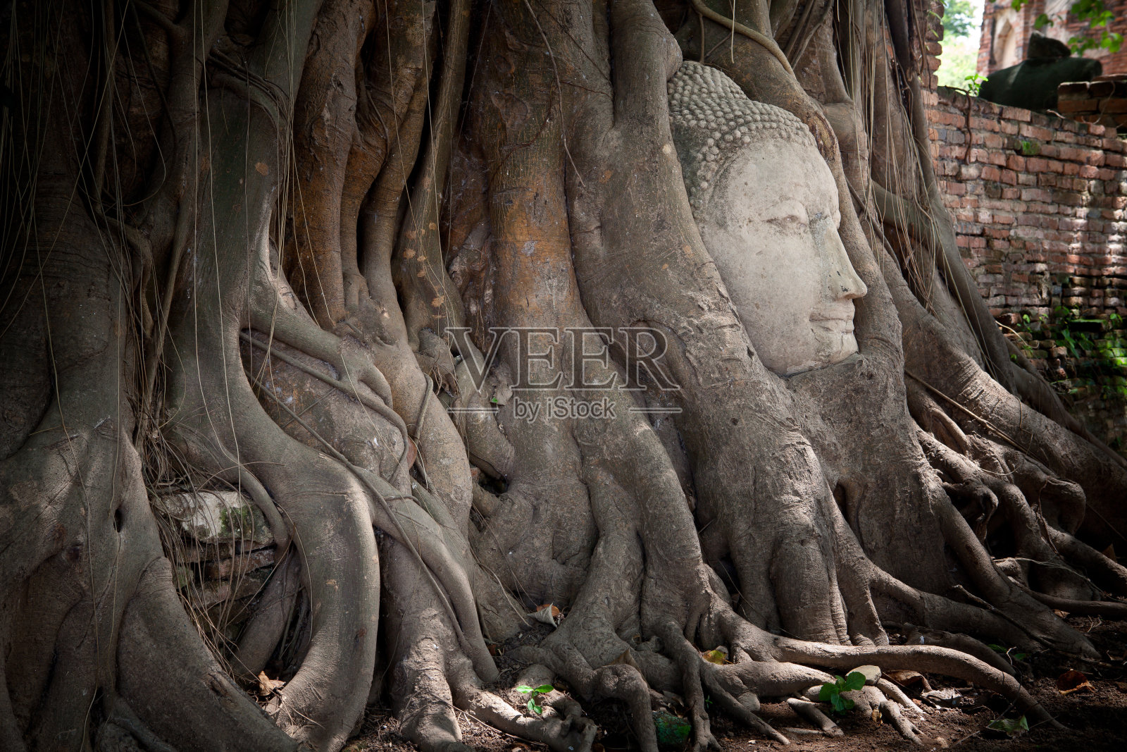 沙岩佛像照片摄影图片