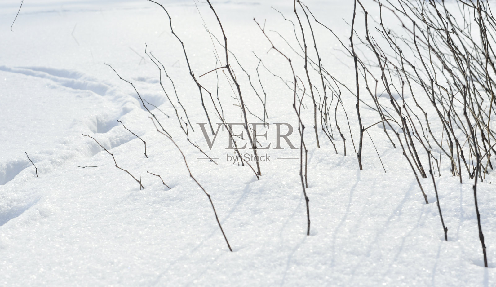 景观在冬天照片摄影图片