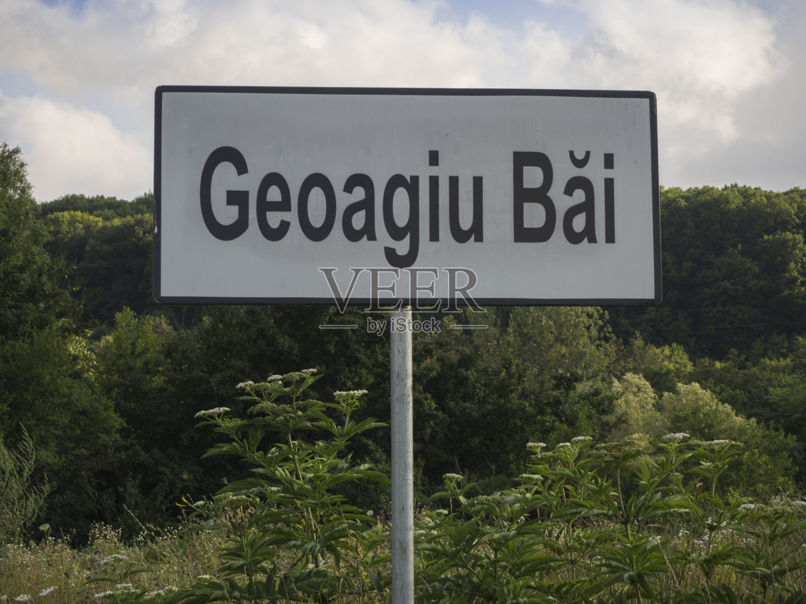 奥尔西亚斯柴尔德·冯·吉约·拜。照片摄影图片