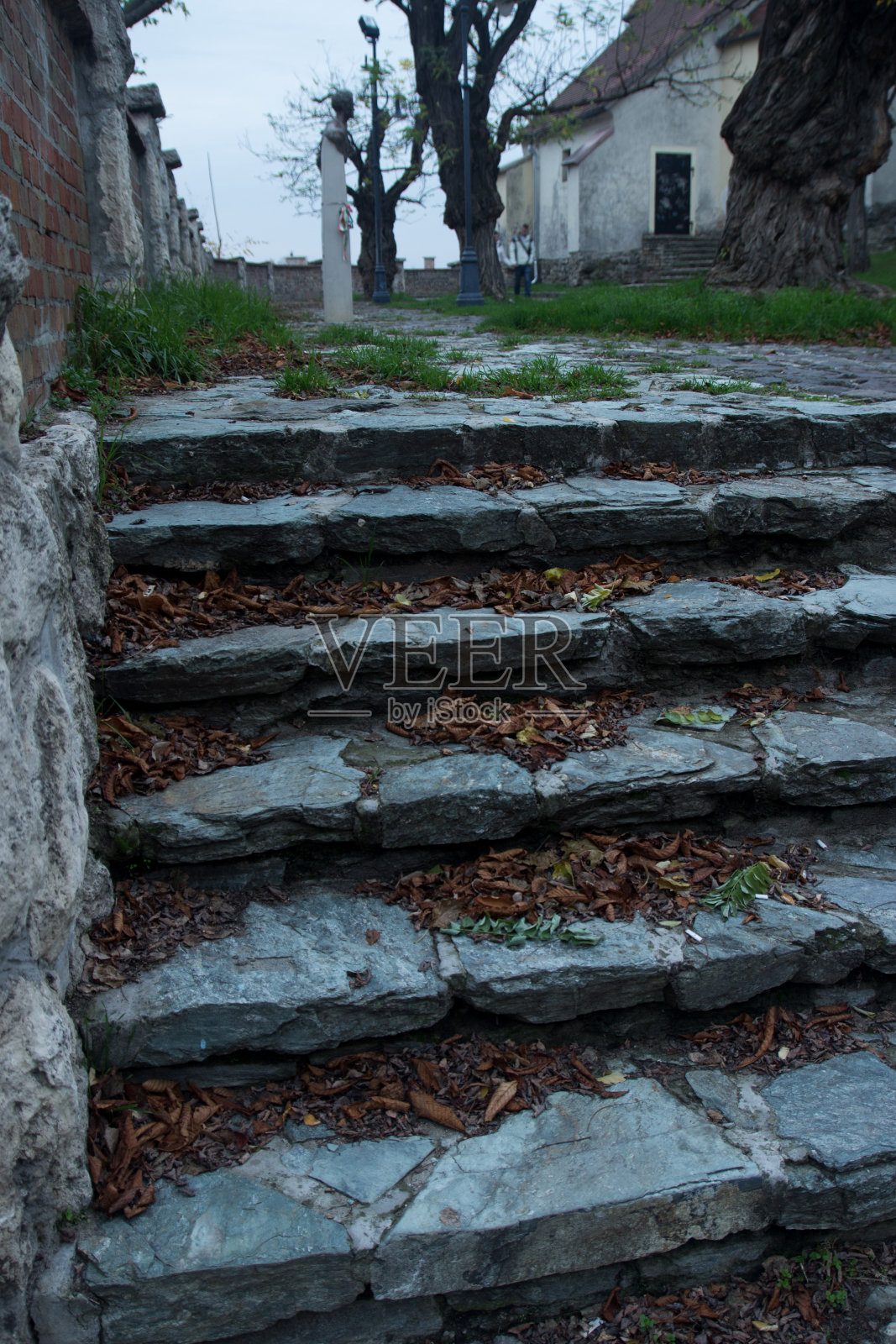 一步照片摄影图片