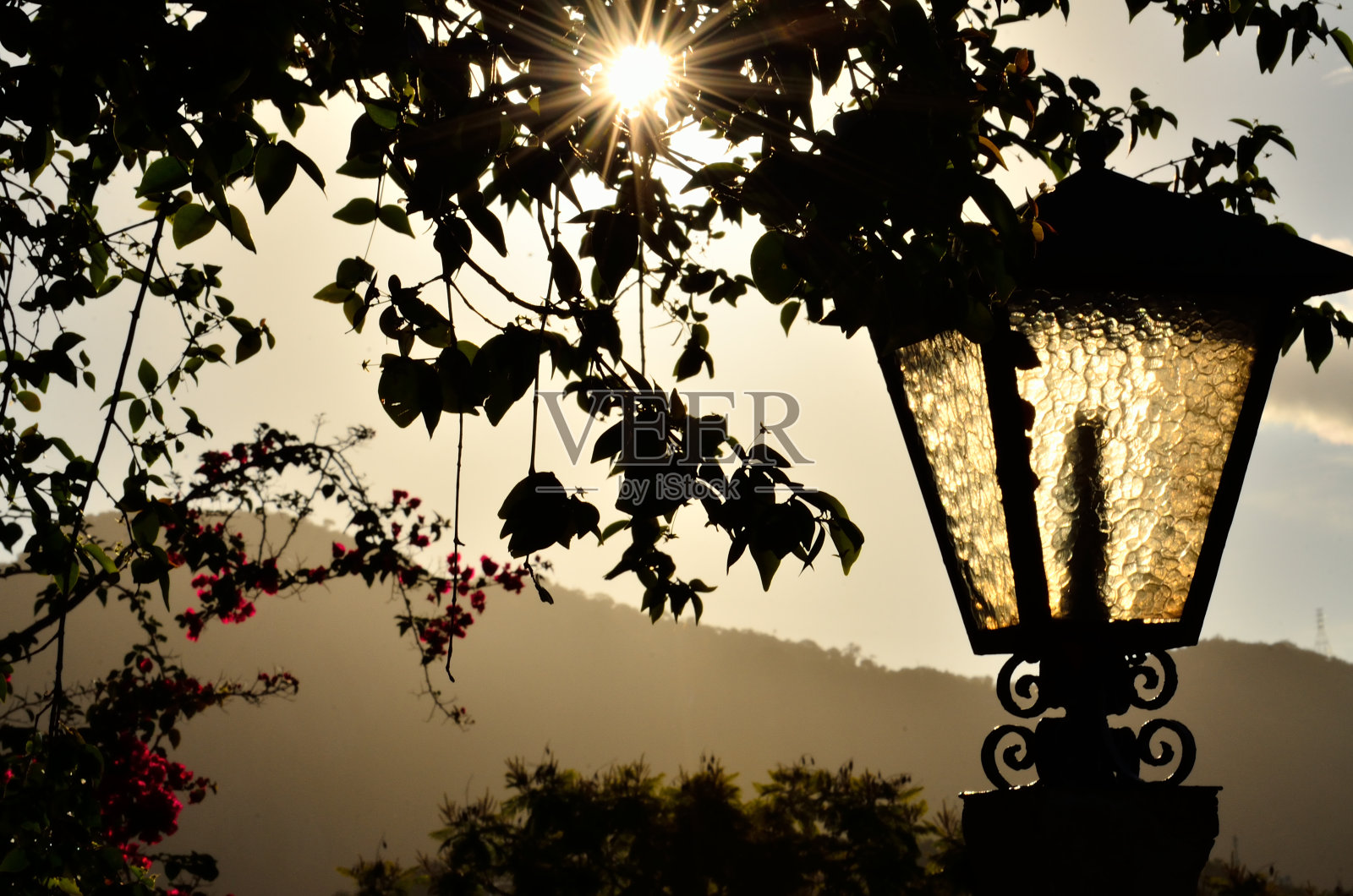 自然光线照片摄影图片