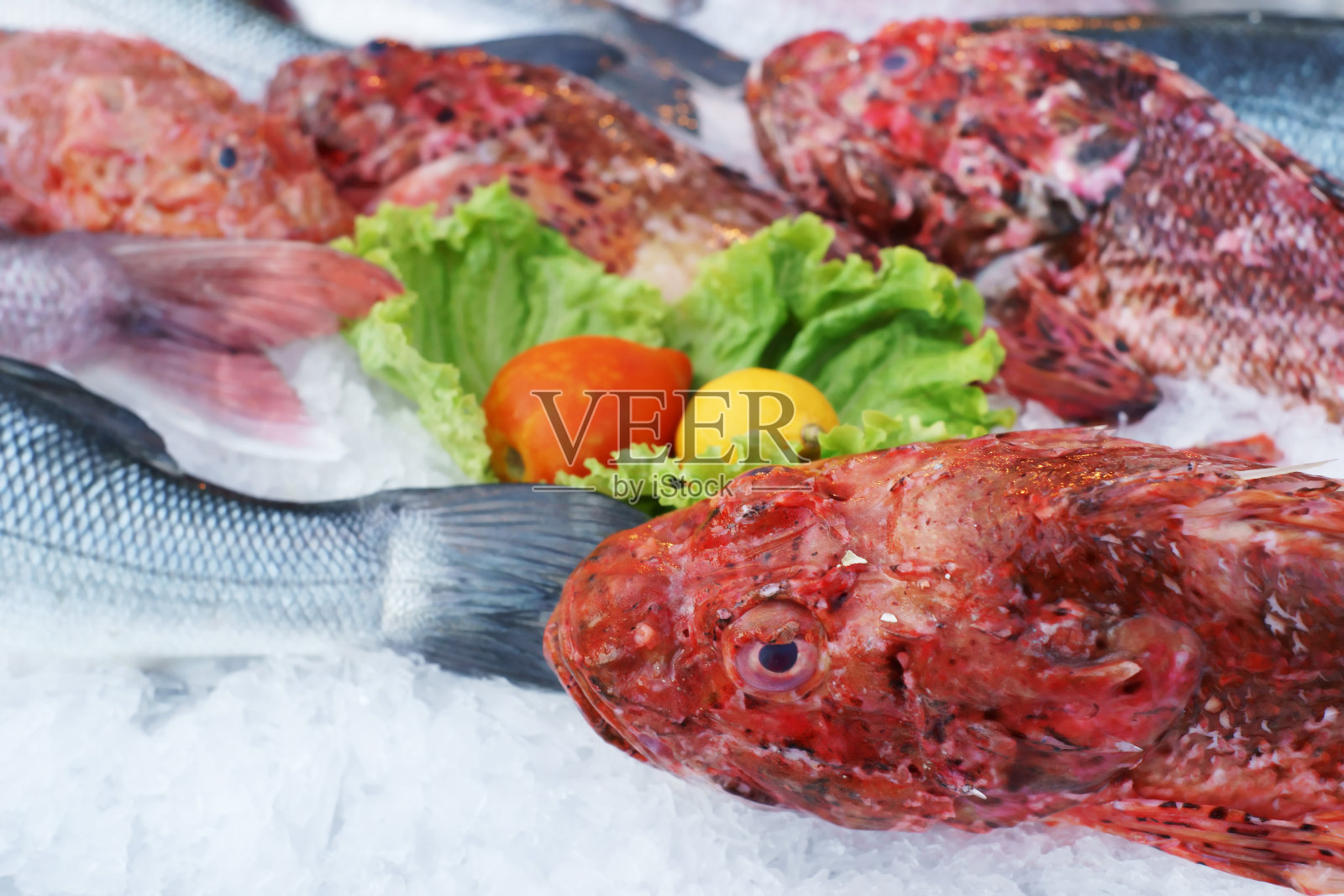 新鲜的鱼和蔬菜照片摄影图片