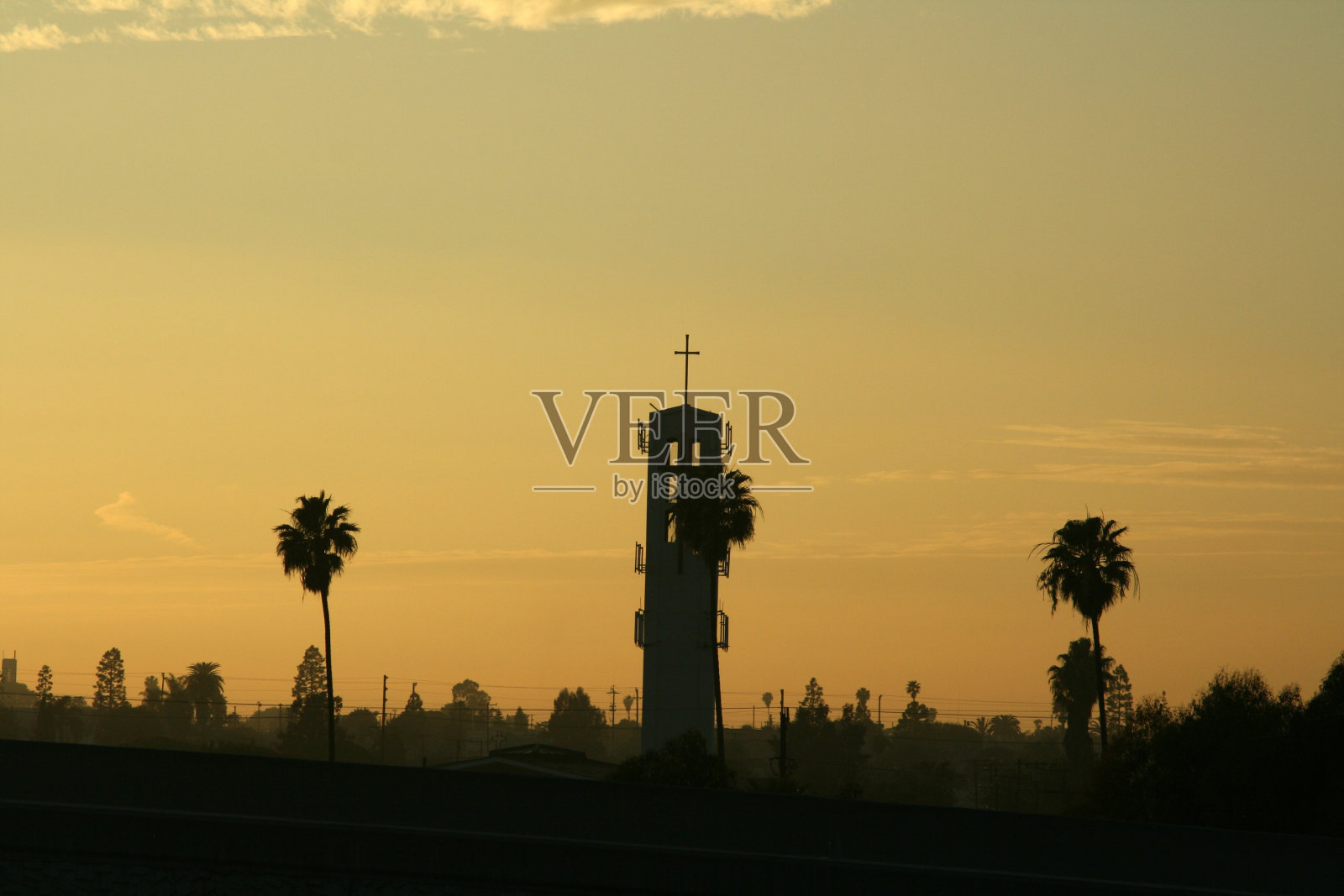 夕阳下的棕榈树照片摄影图片