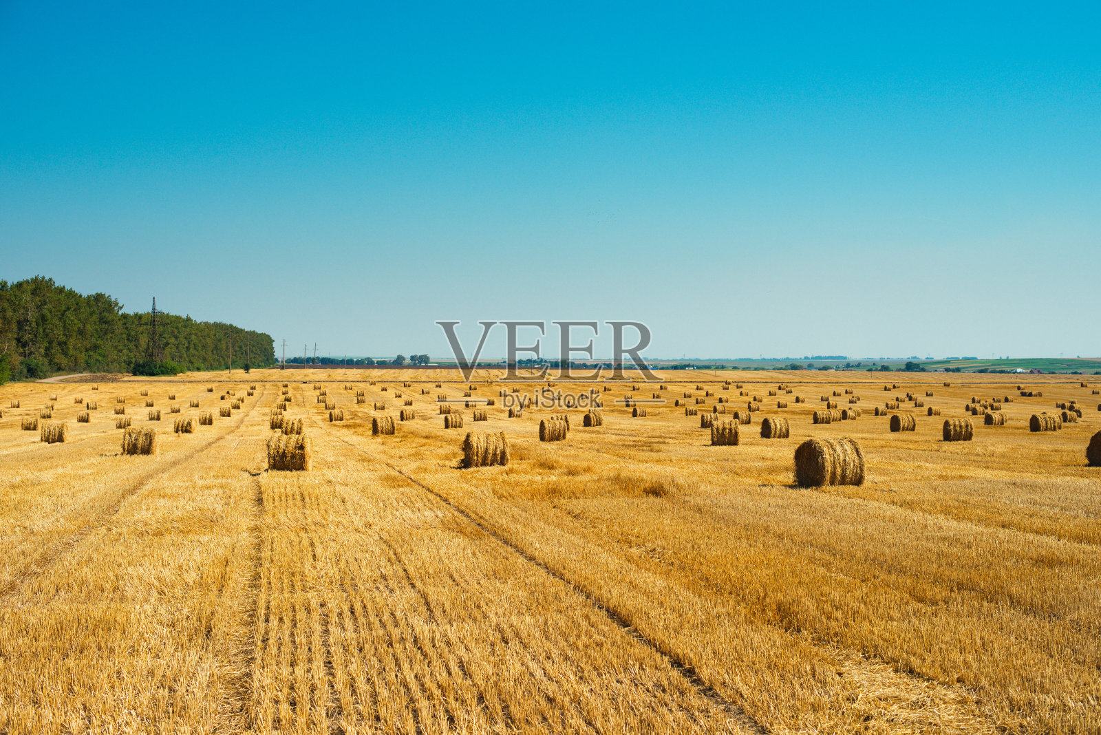 麦田里的圆草捆照片摄影图片