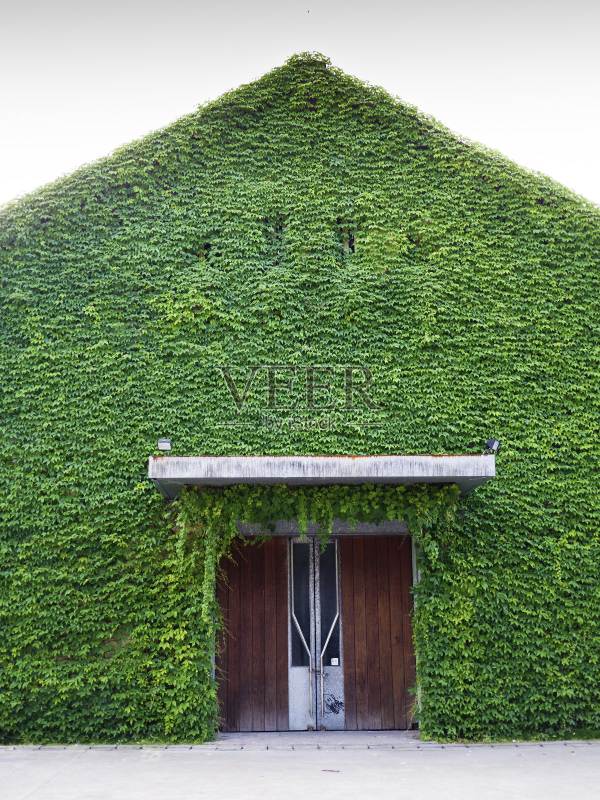 绿色的房子照片摄影图片