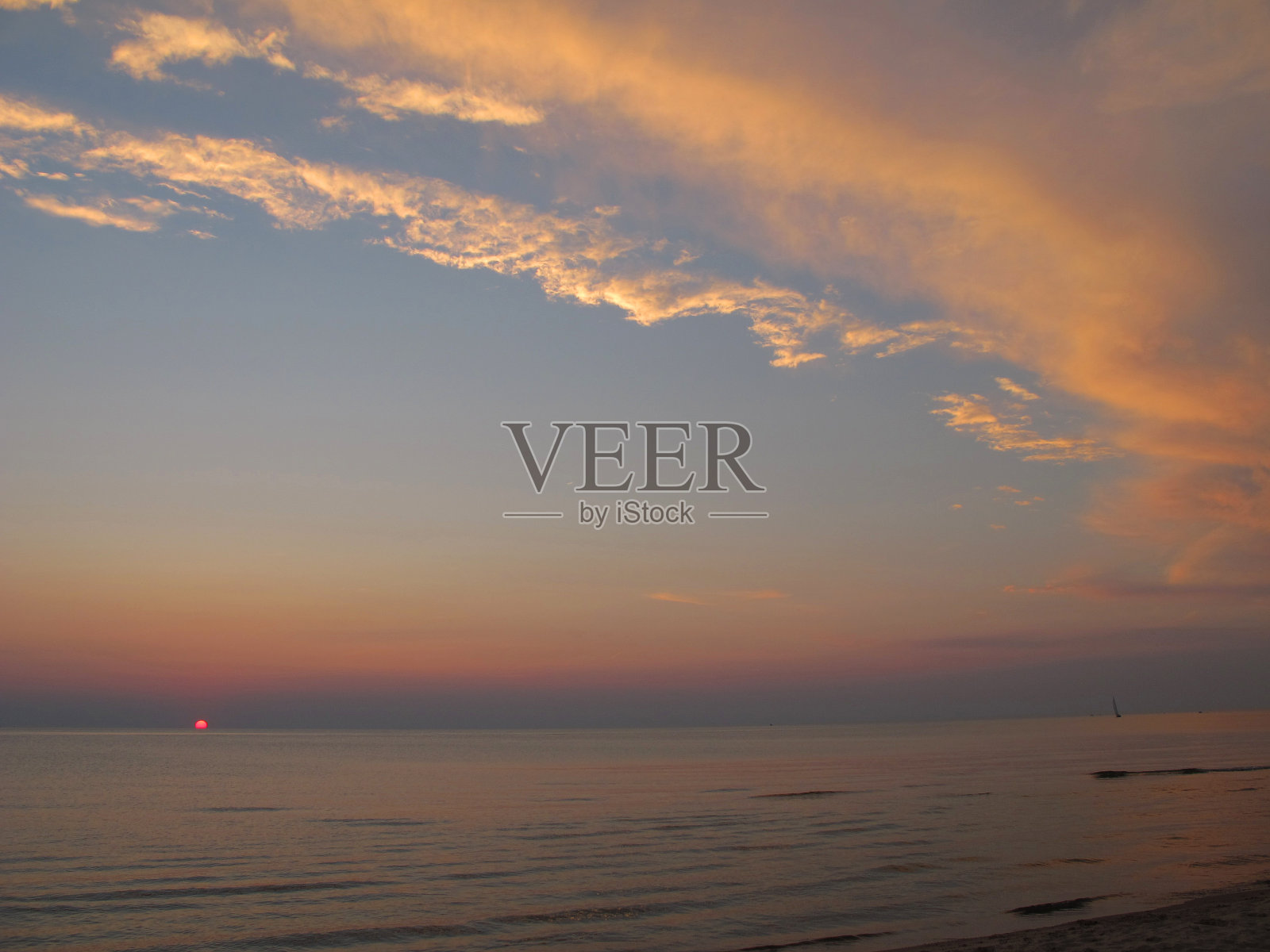 血橙的太阳照片摄影图片