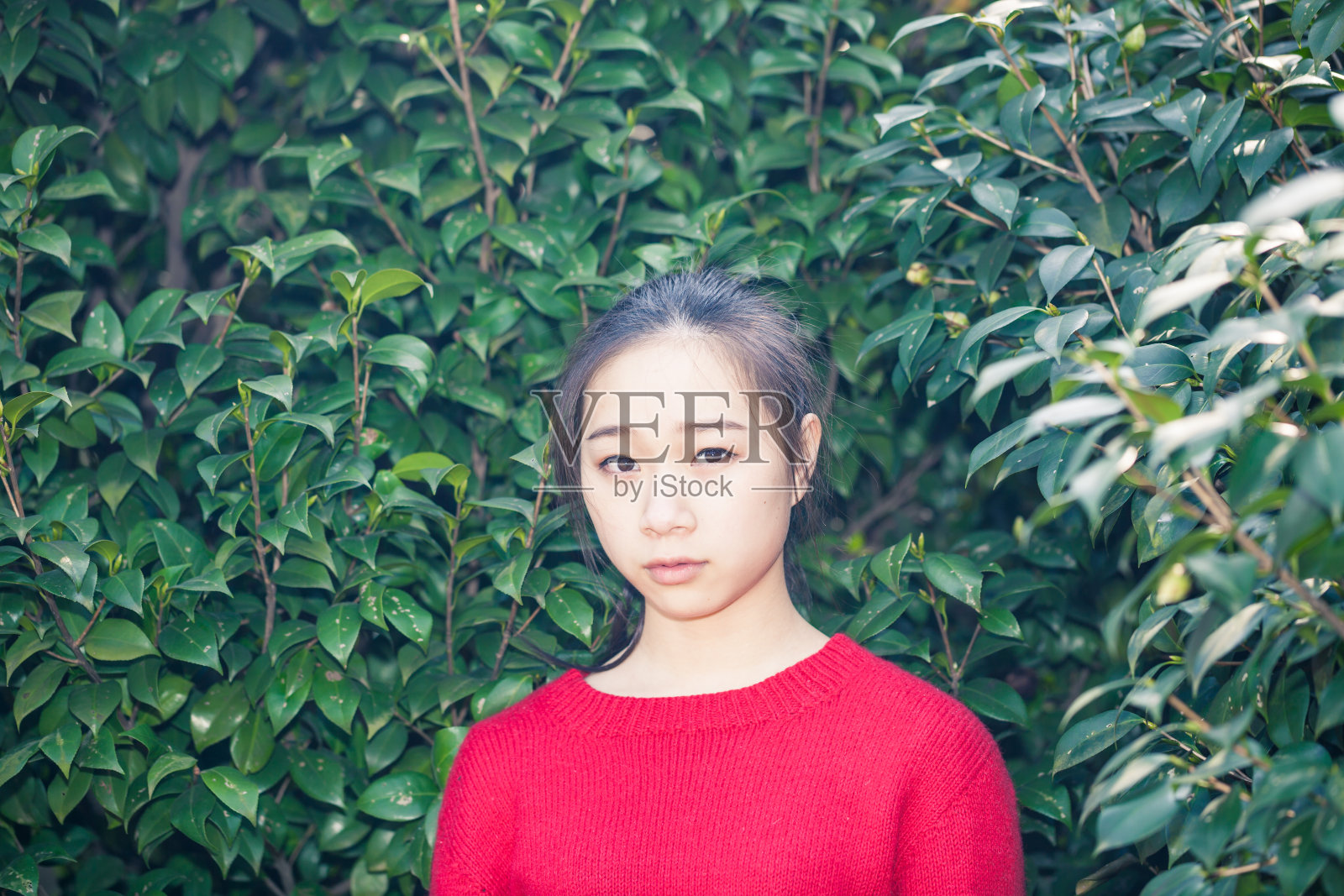 亚洲女性照片摄影图片