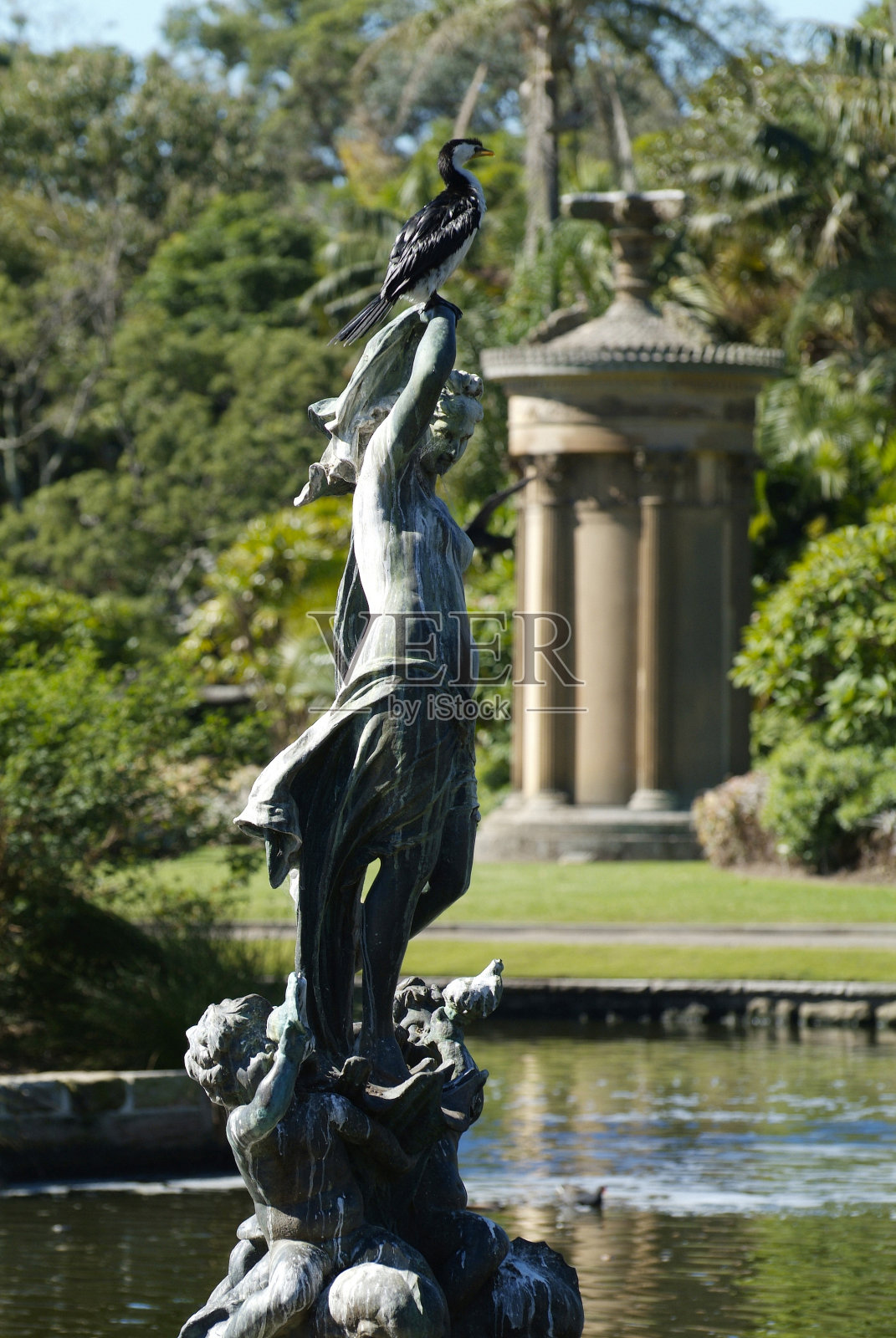 澳大利亚,悉尼照片摄影图片