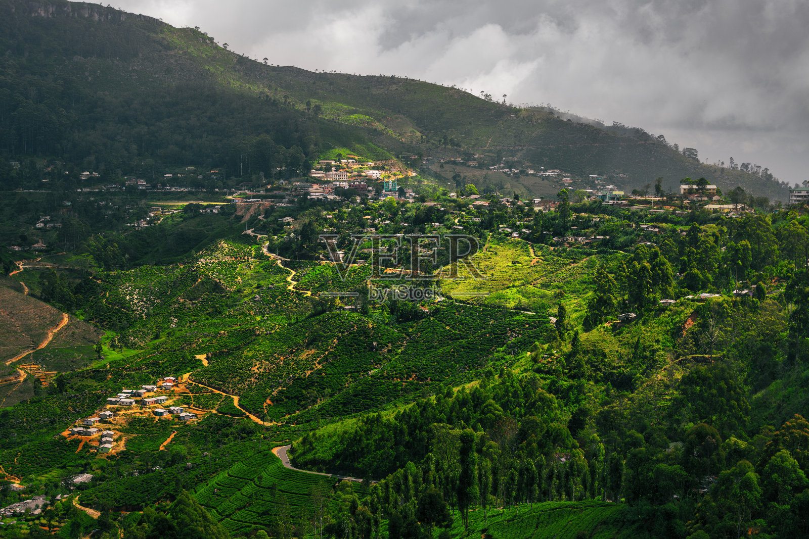 斯里兰卡岛照片摄影图片