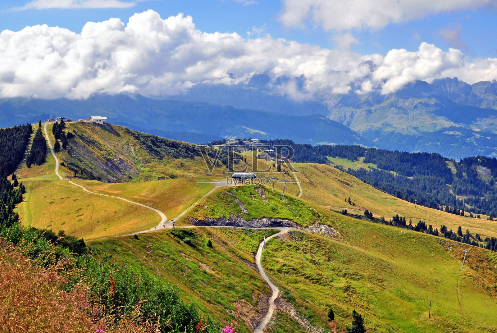 阿尔卑斯山脉在夏天照片摄影图片