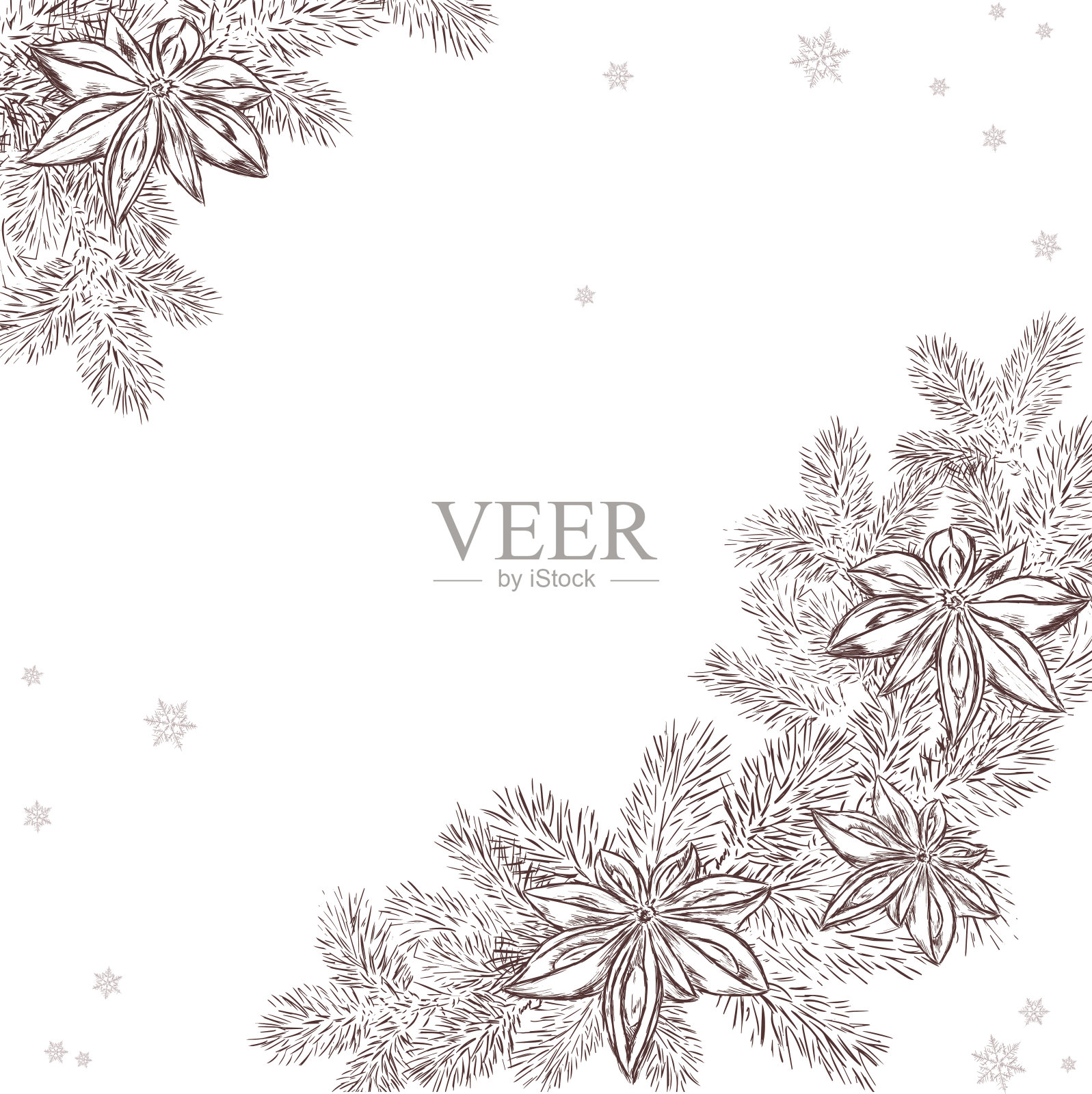 圣诞手画松枝与八角插画图片素材