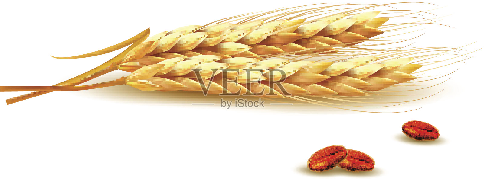 耳朵的小麦。矢量插图。设计元素图片