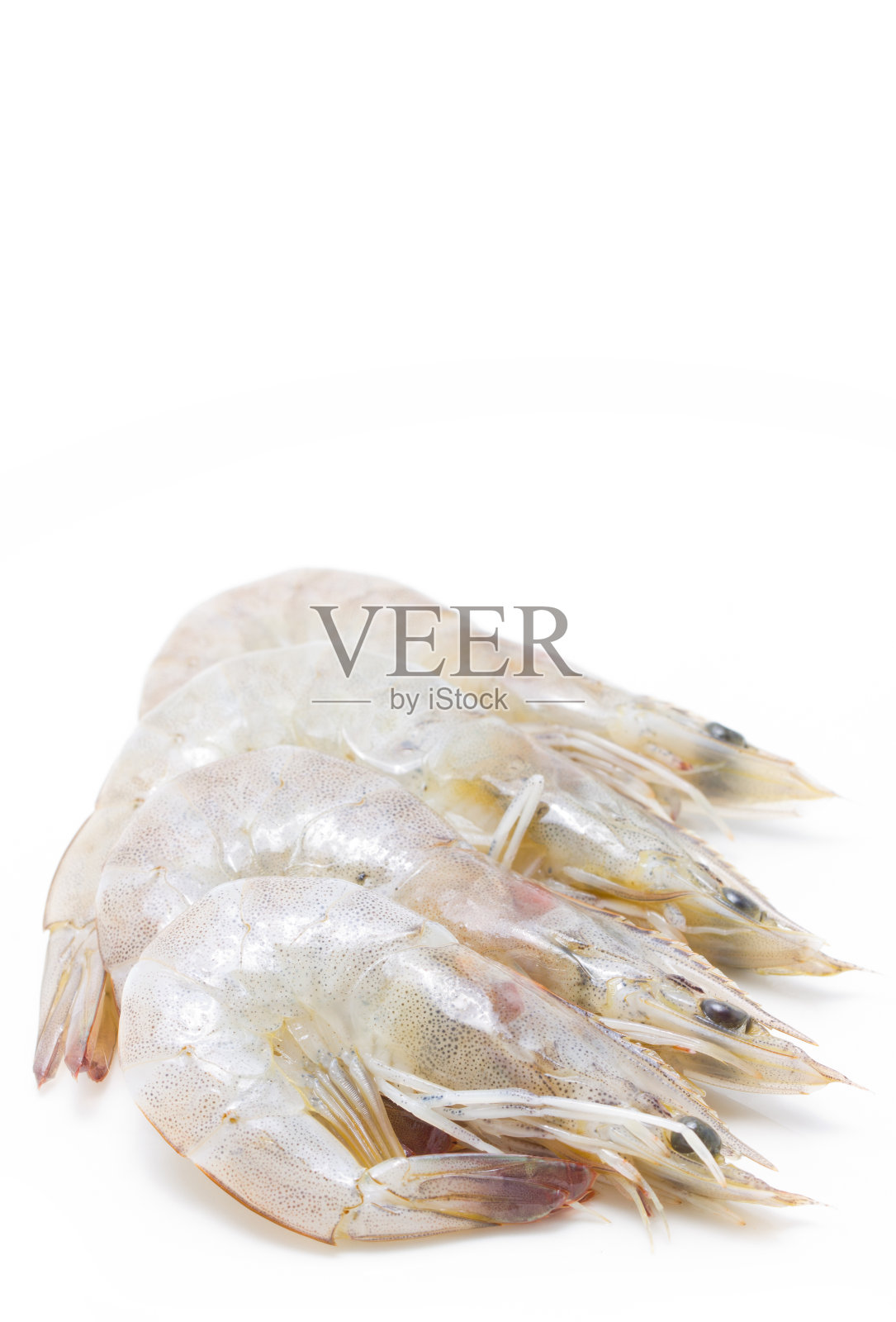 孤立在白色背景上的白腿虾。照片摄影图片