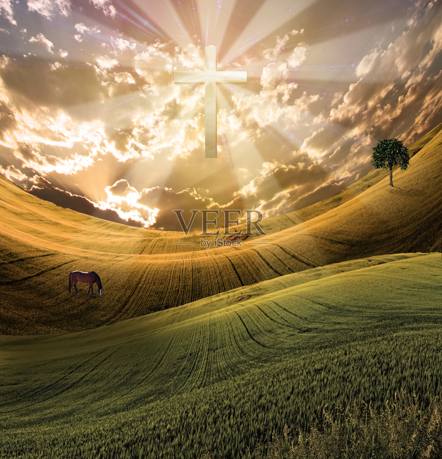 十字架在天空中放射光照片摄影图片