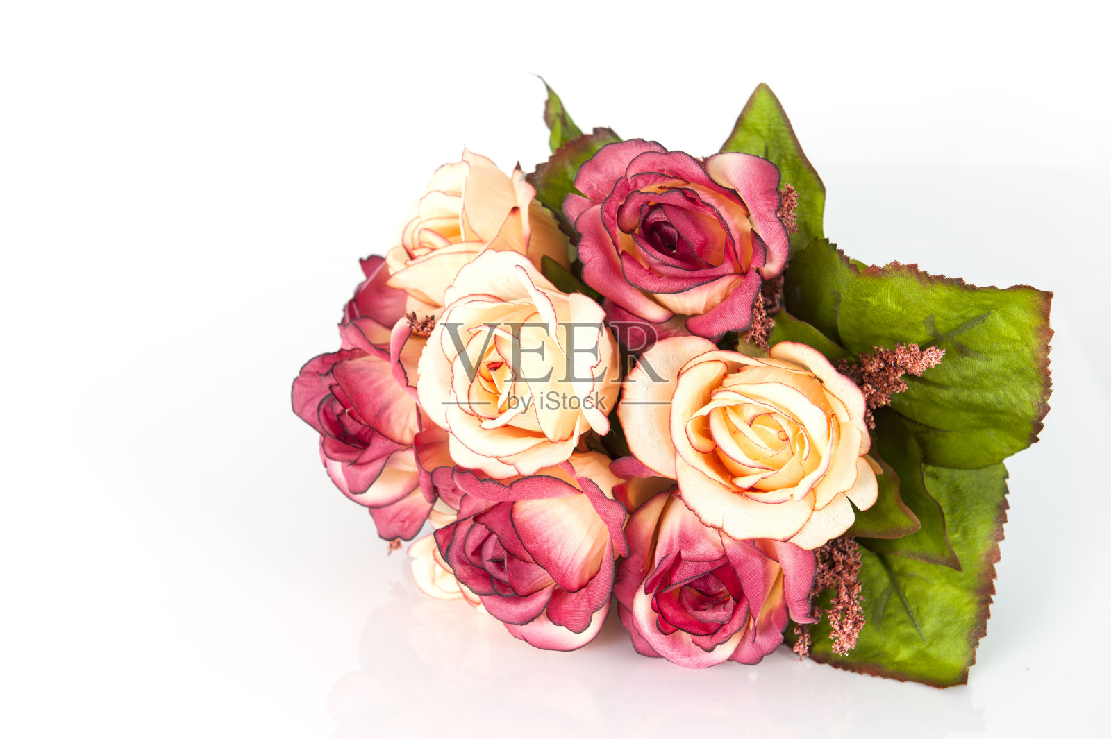 白底花，玫瑰照片摄影图片